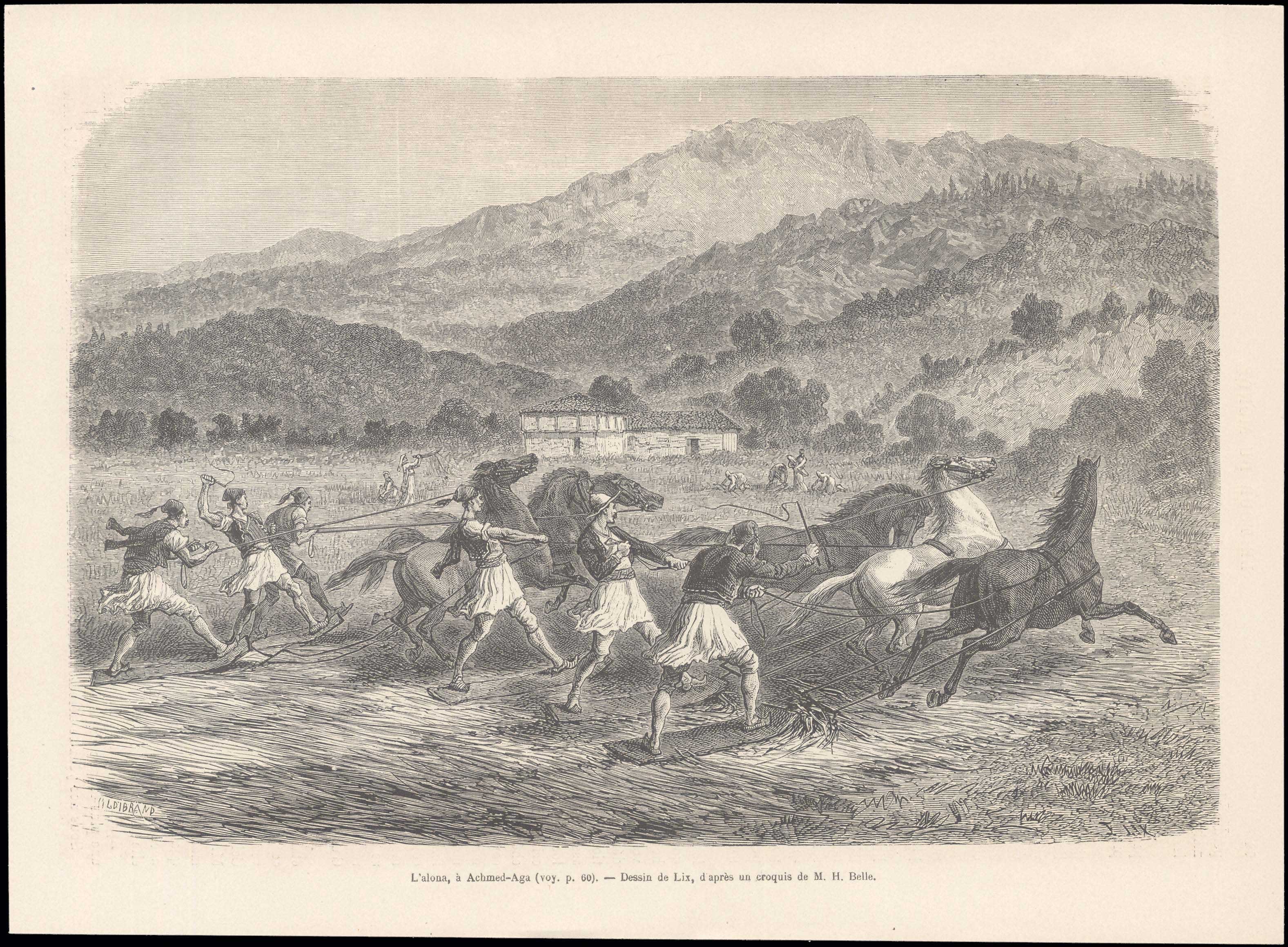 Lot 08157