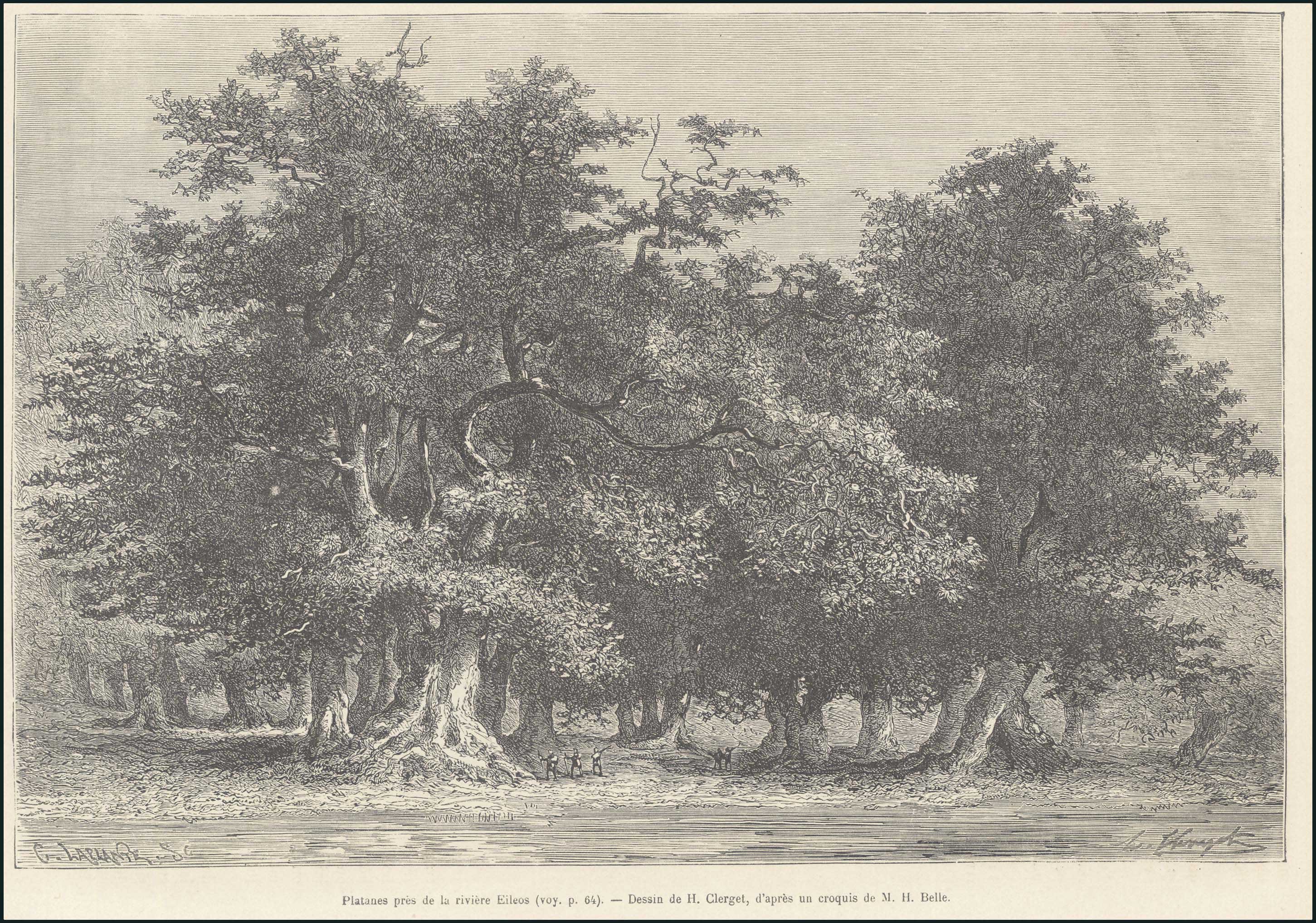 Lot 08122