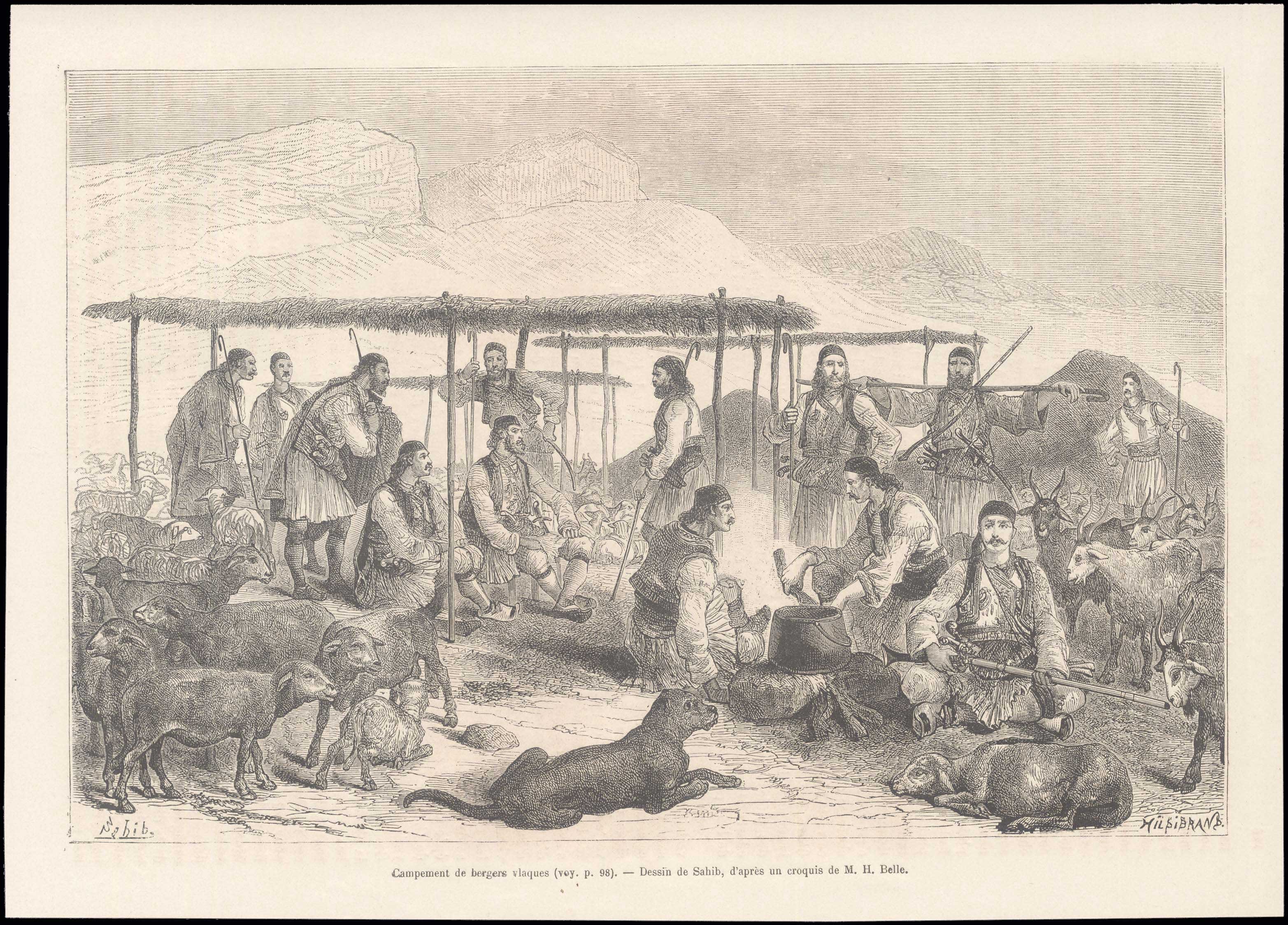 Lot 08145