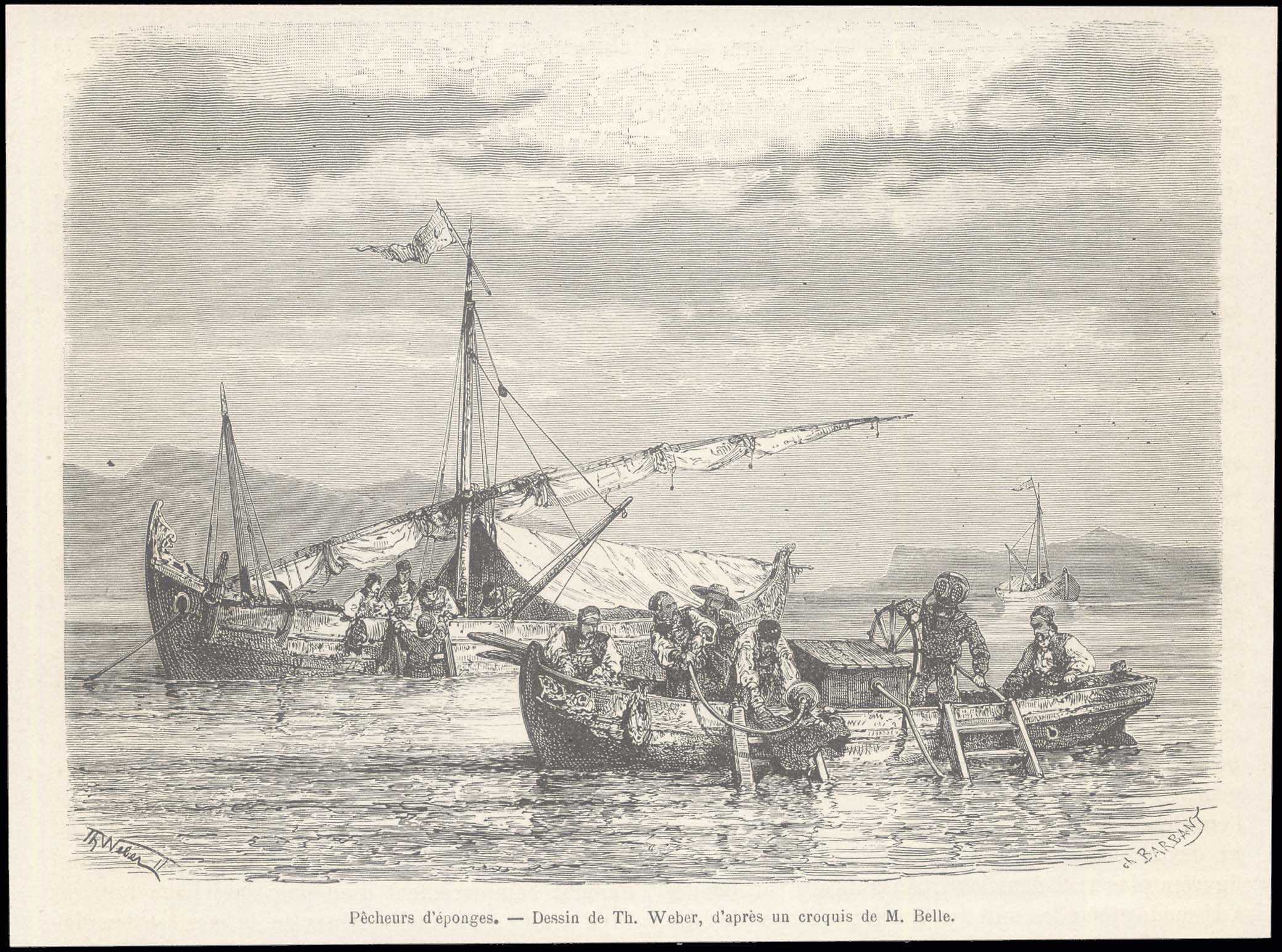 Lot 08153