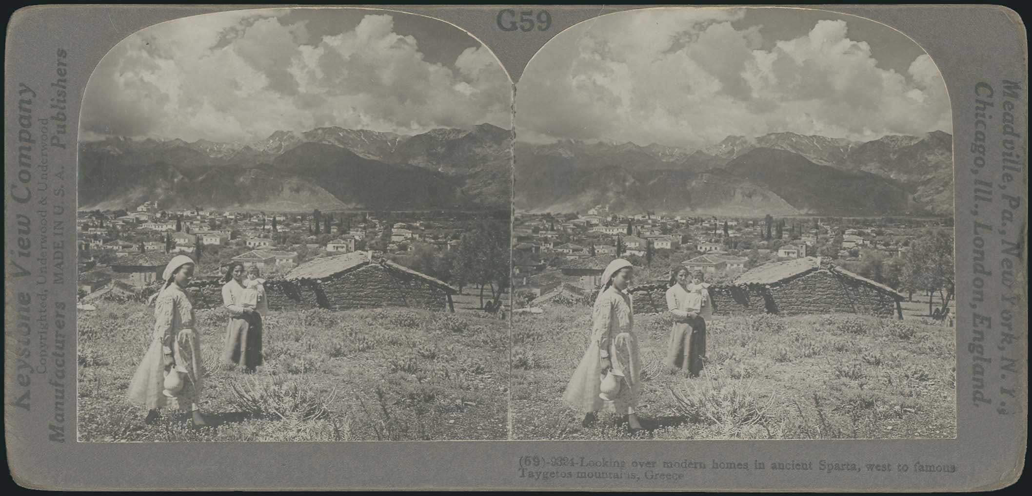 Lot 08311
