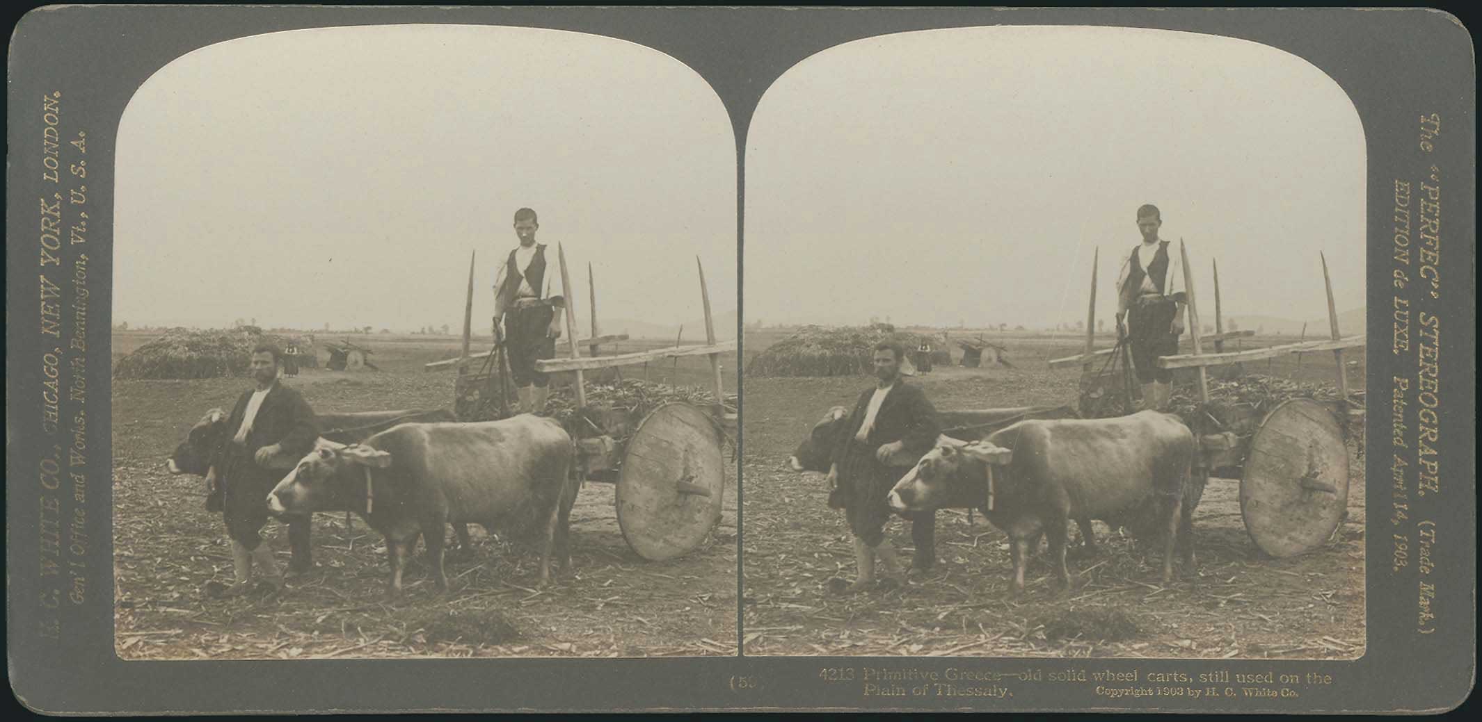 Lot 08316