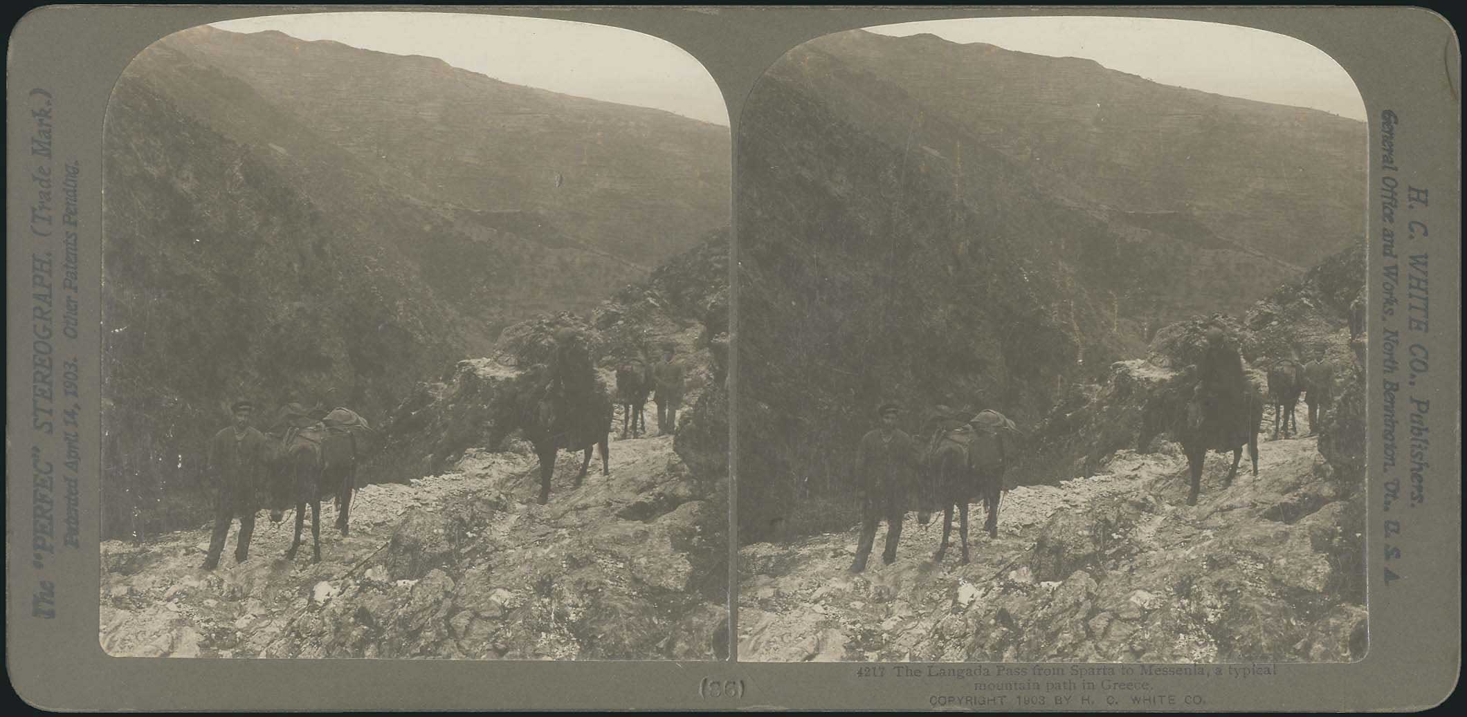 Lot 08322