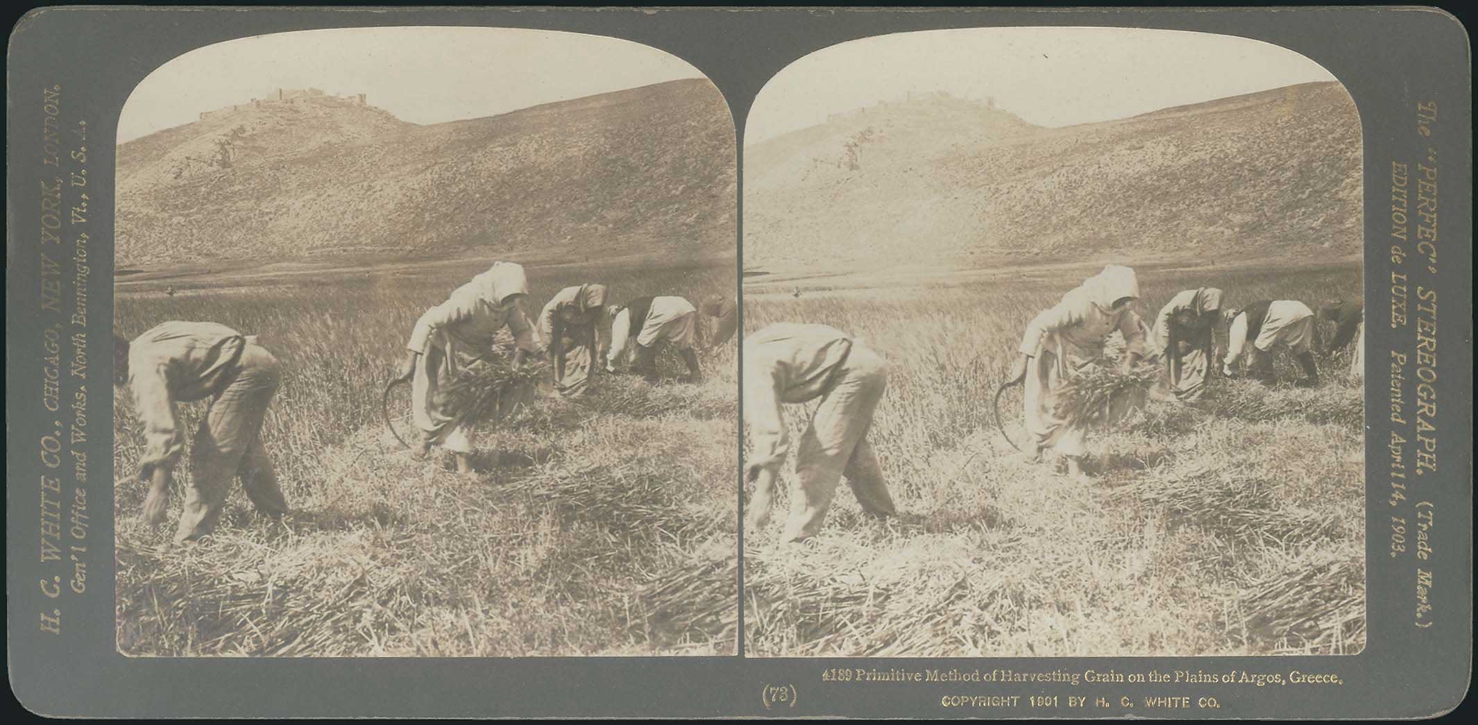 Lot 08332