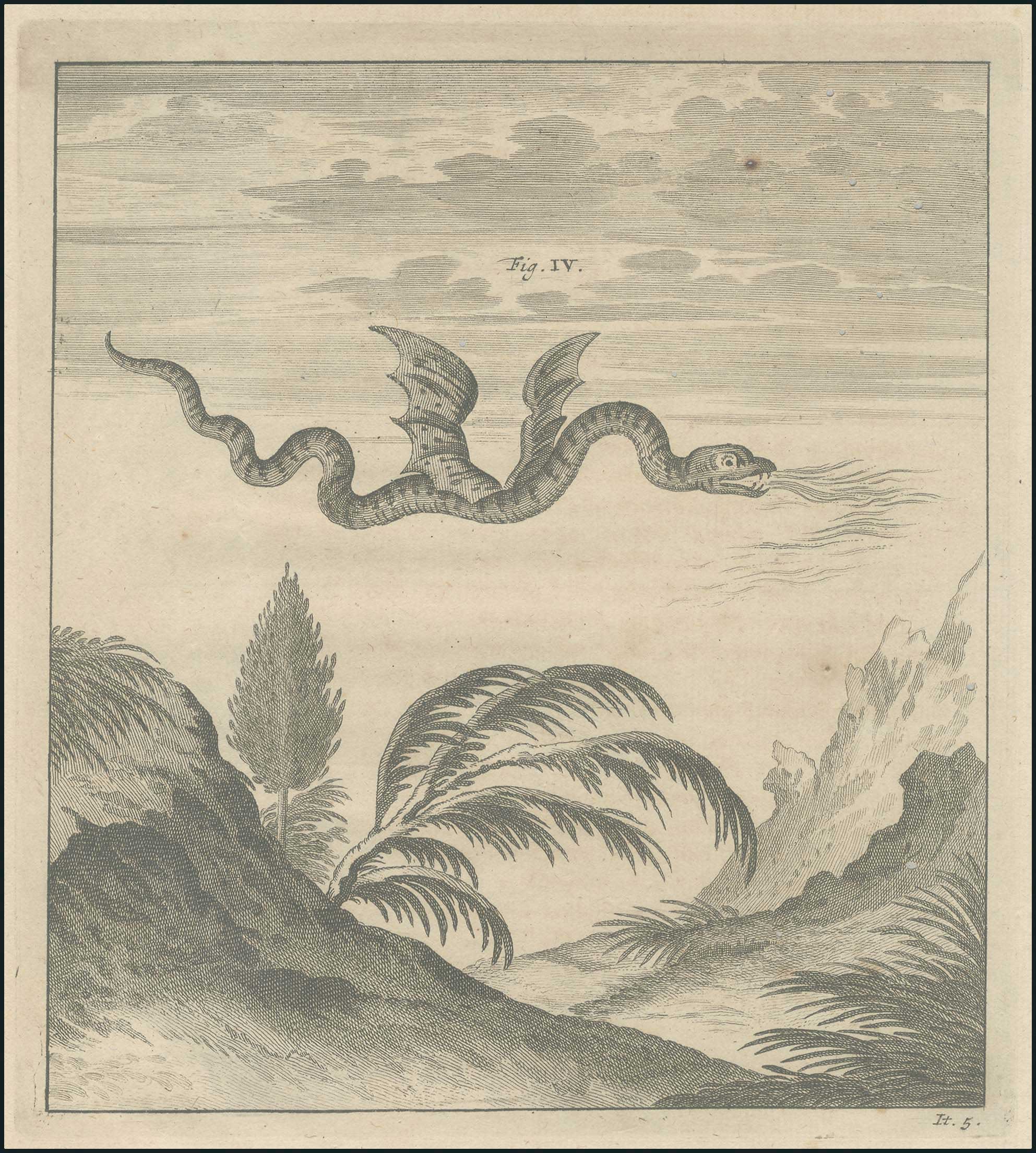 Lot 03354