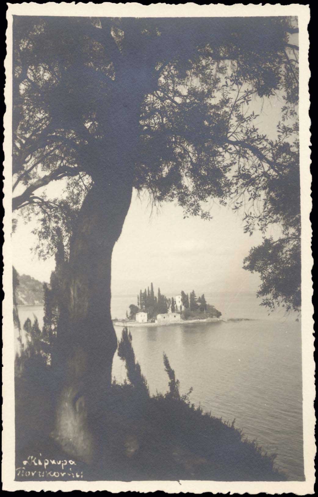 Lot 03941