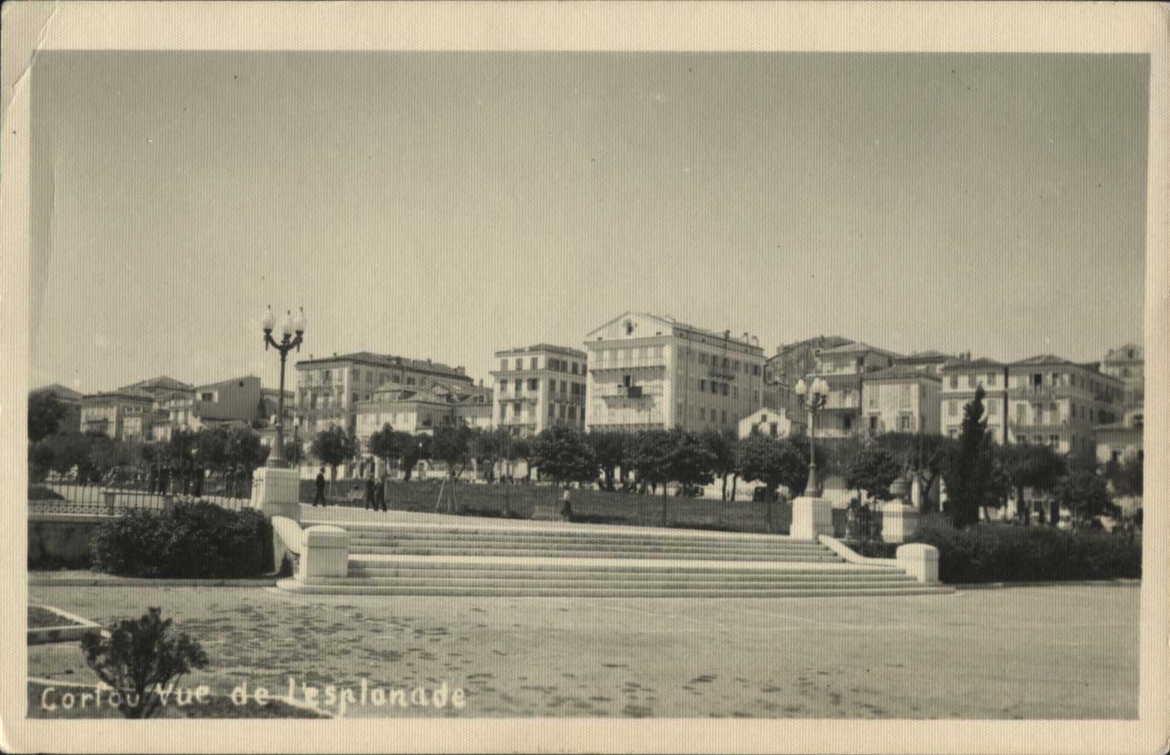 Lot 01562