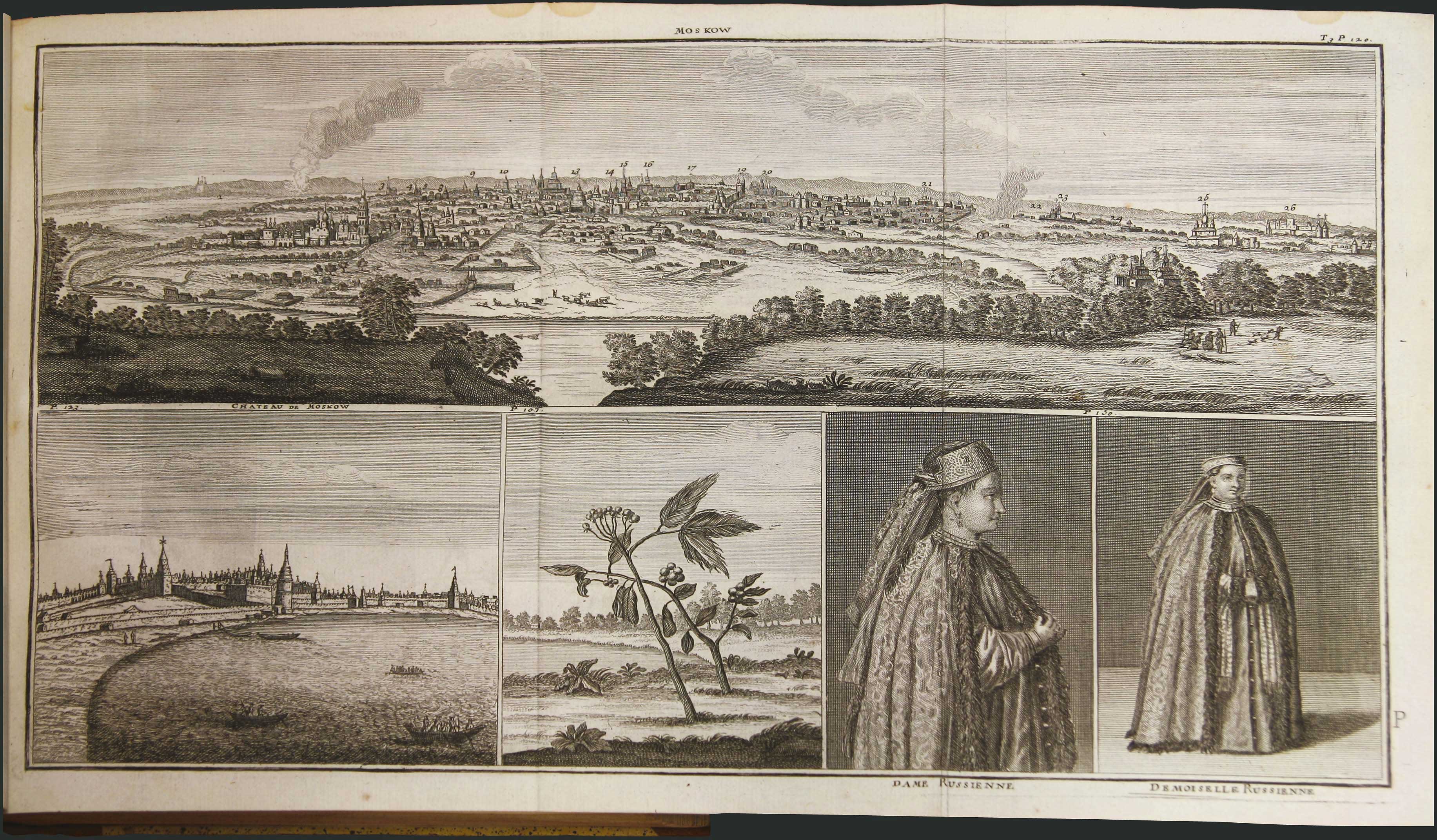 Lot 08070