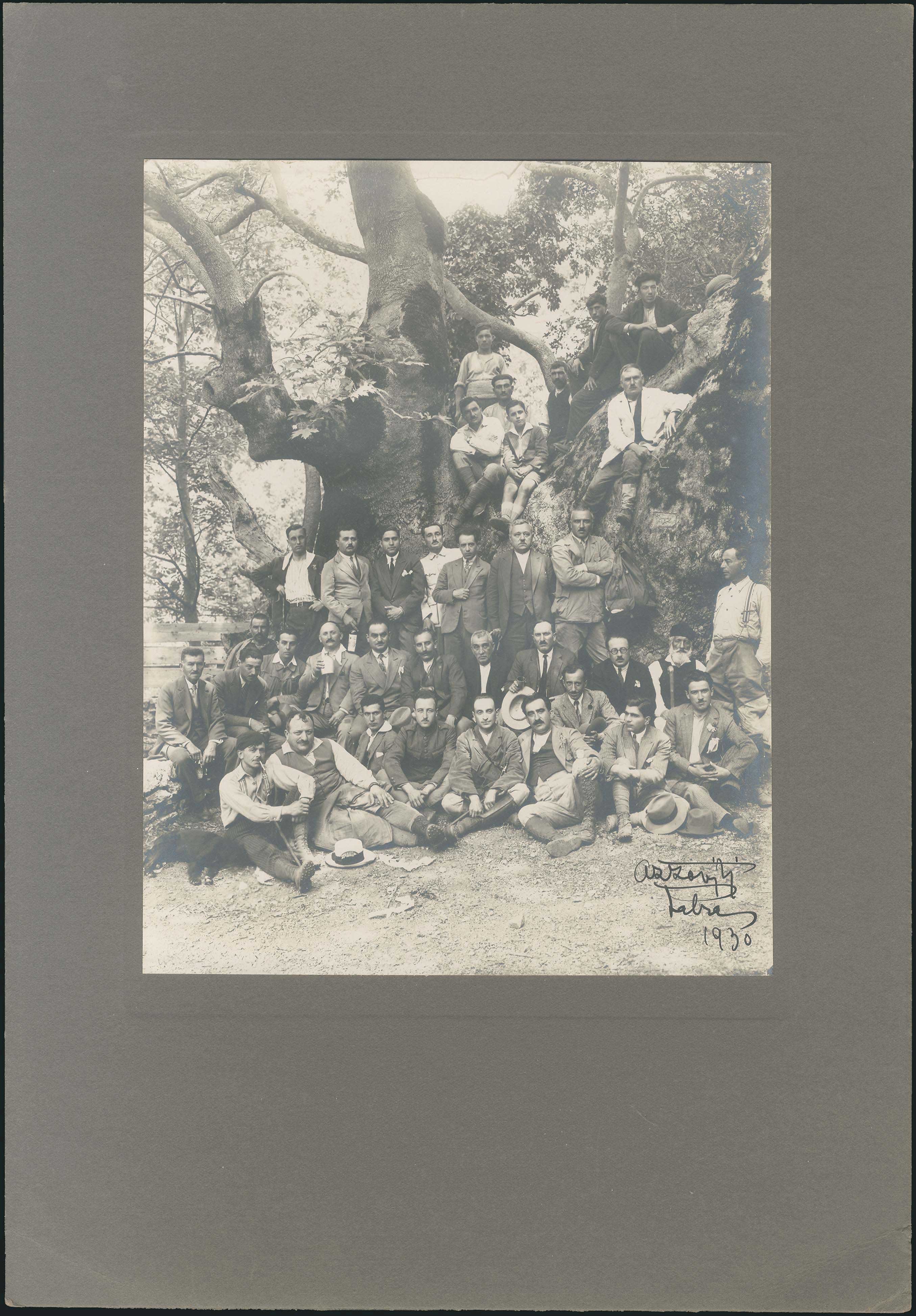 Lot 08219