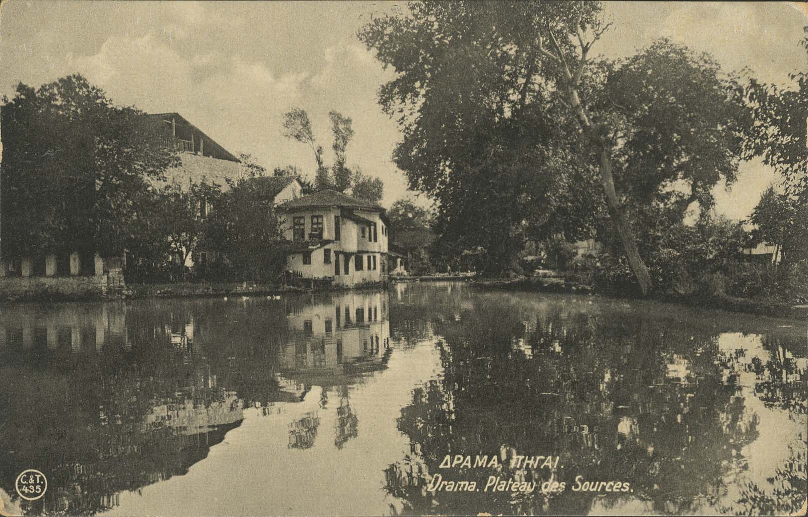 Lot 01559