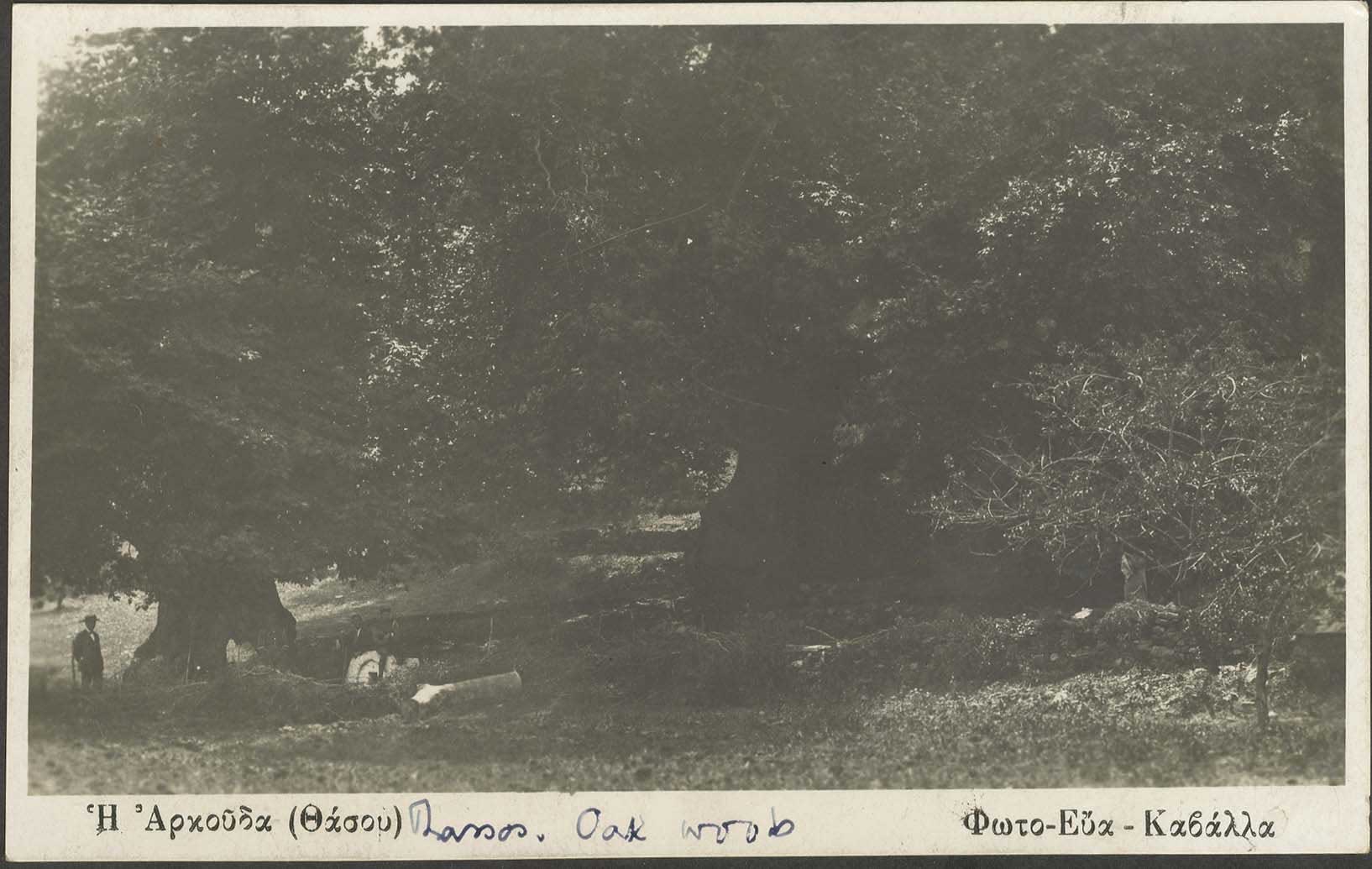 Lot 03623