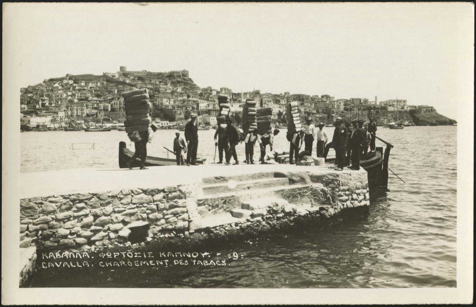 Lot 03589