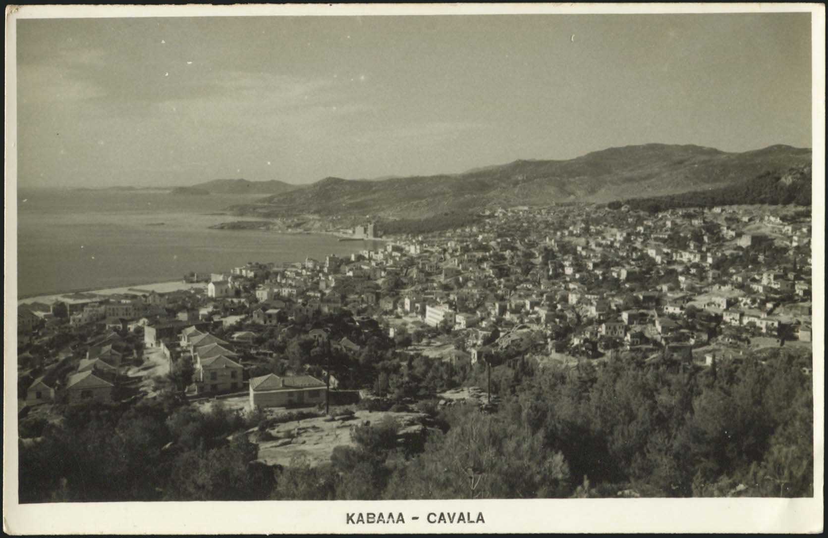 Lot 03235