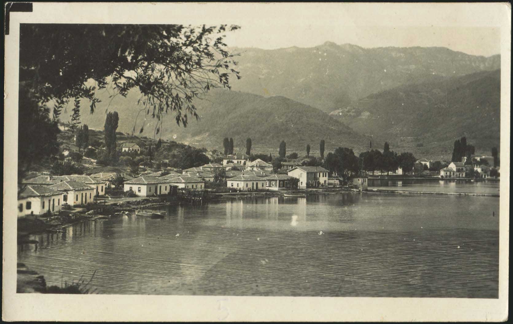Lot 03618
