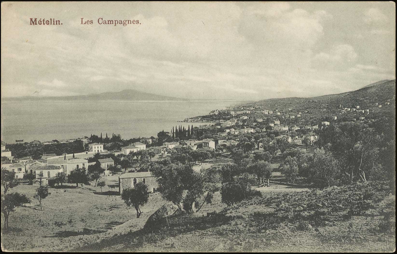 Lot 01380