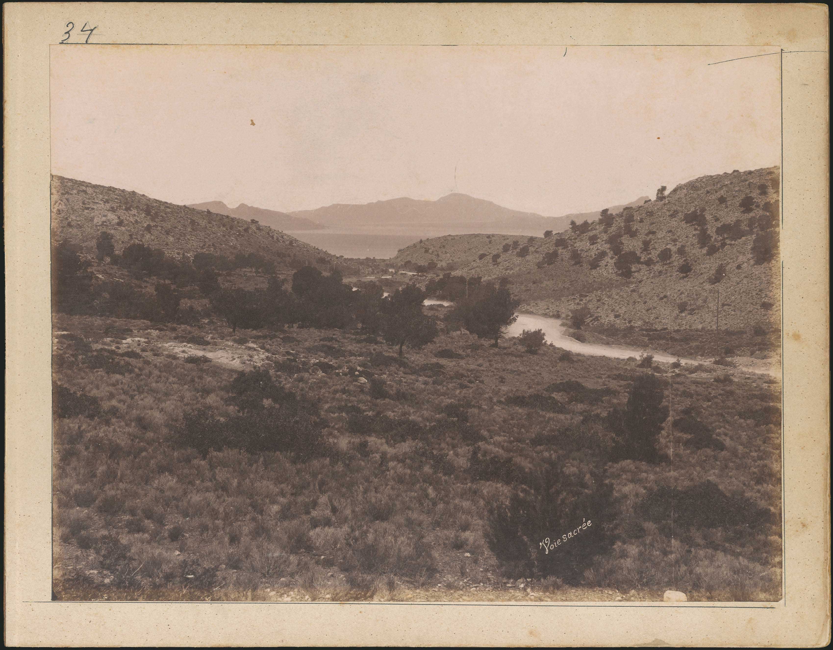 Lot 06236