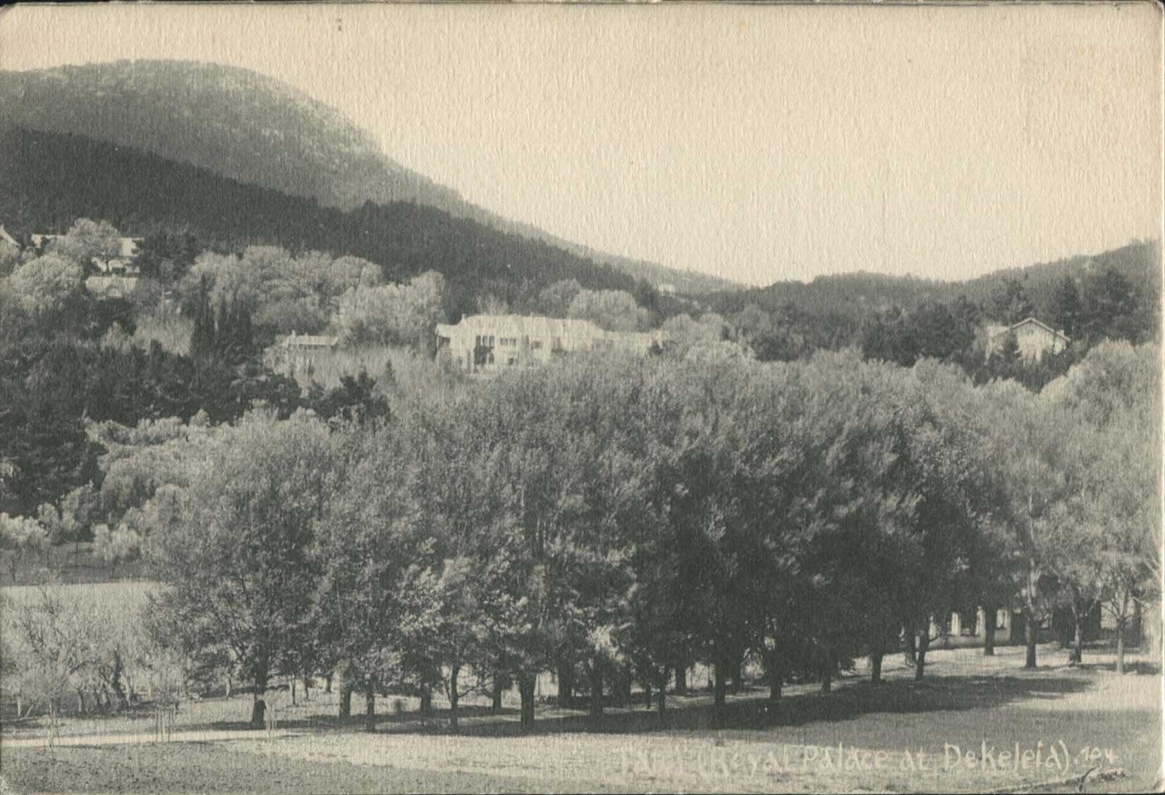 Lot 01531