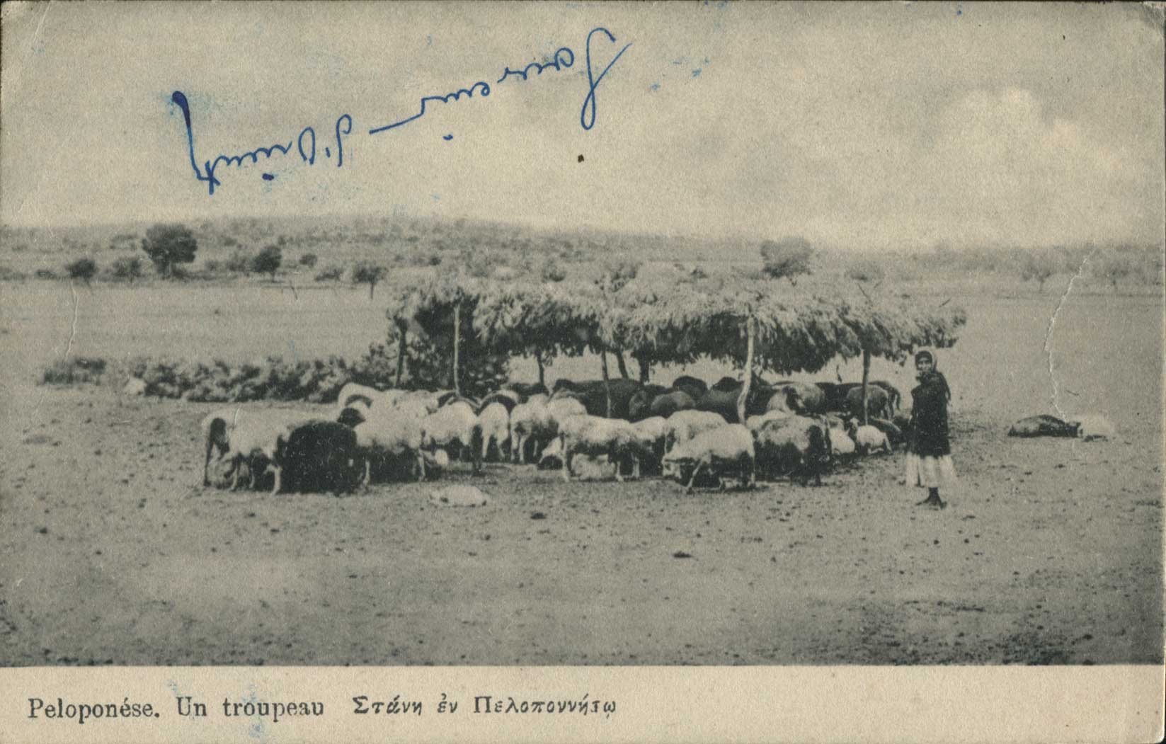 Lot 01341