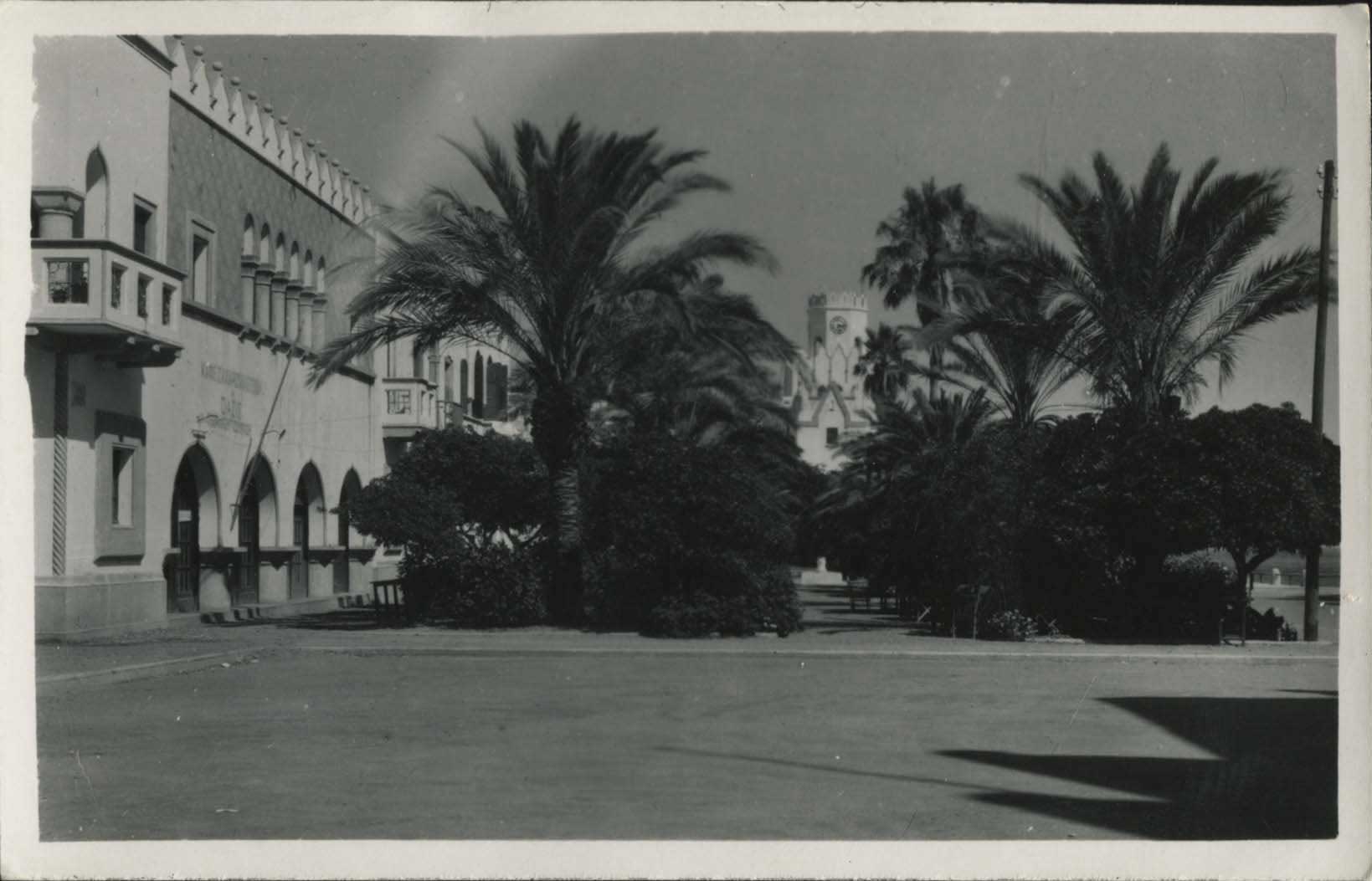 Lot 01346