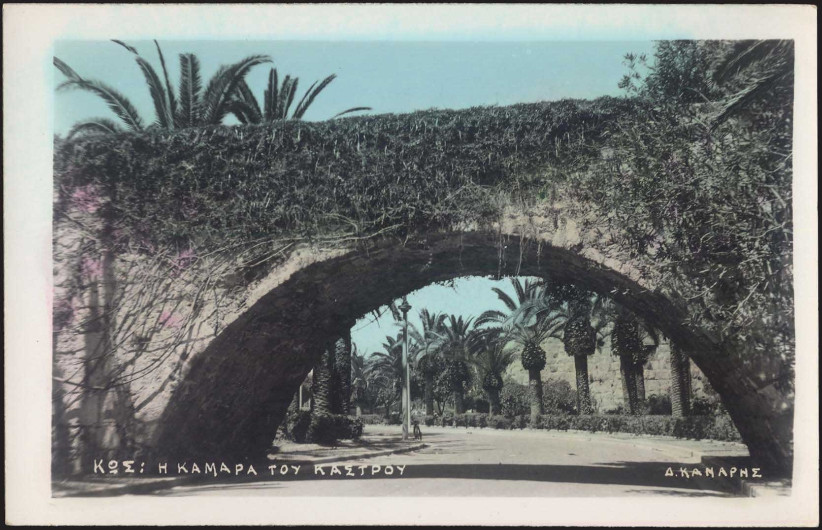 Lot 01341