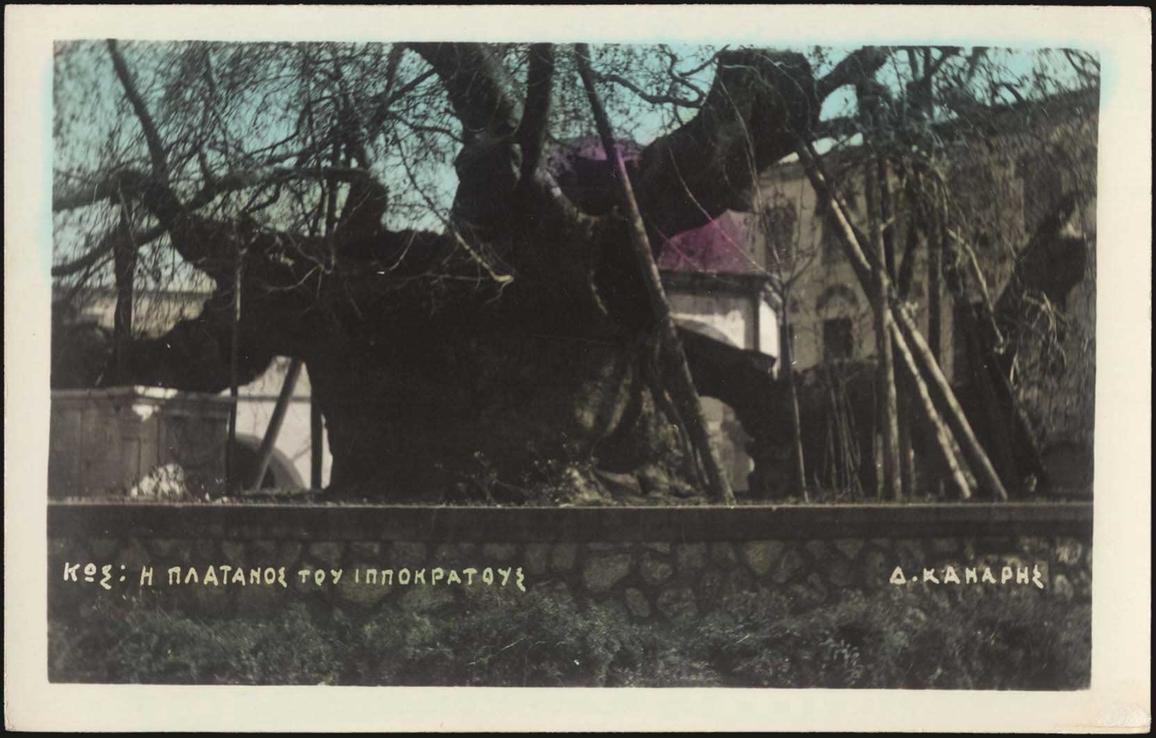 Lot 01758
