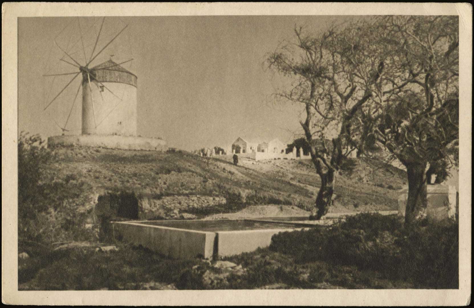 Lot 01216