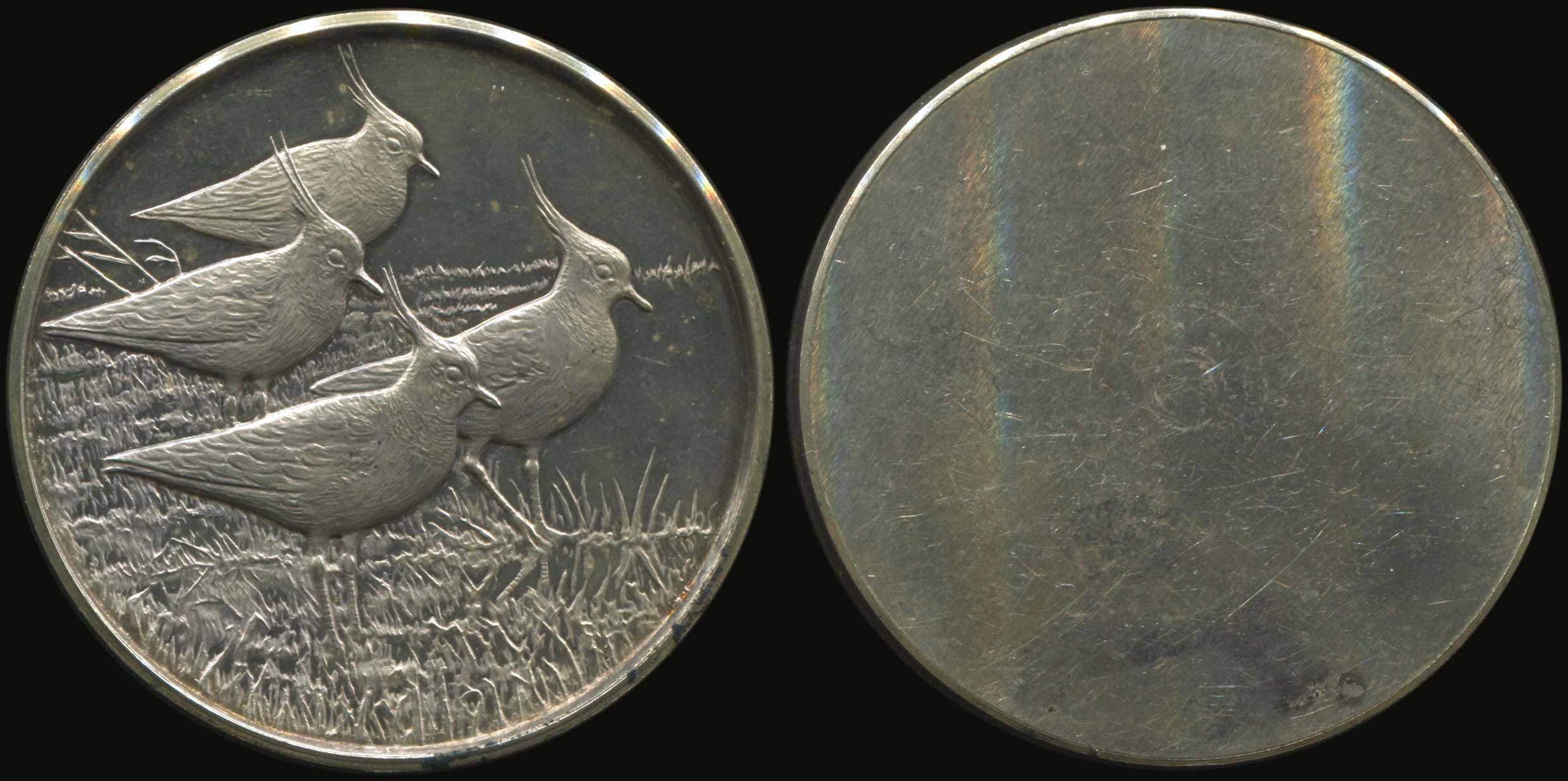 Lot 04854