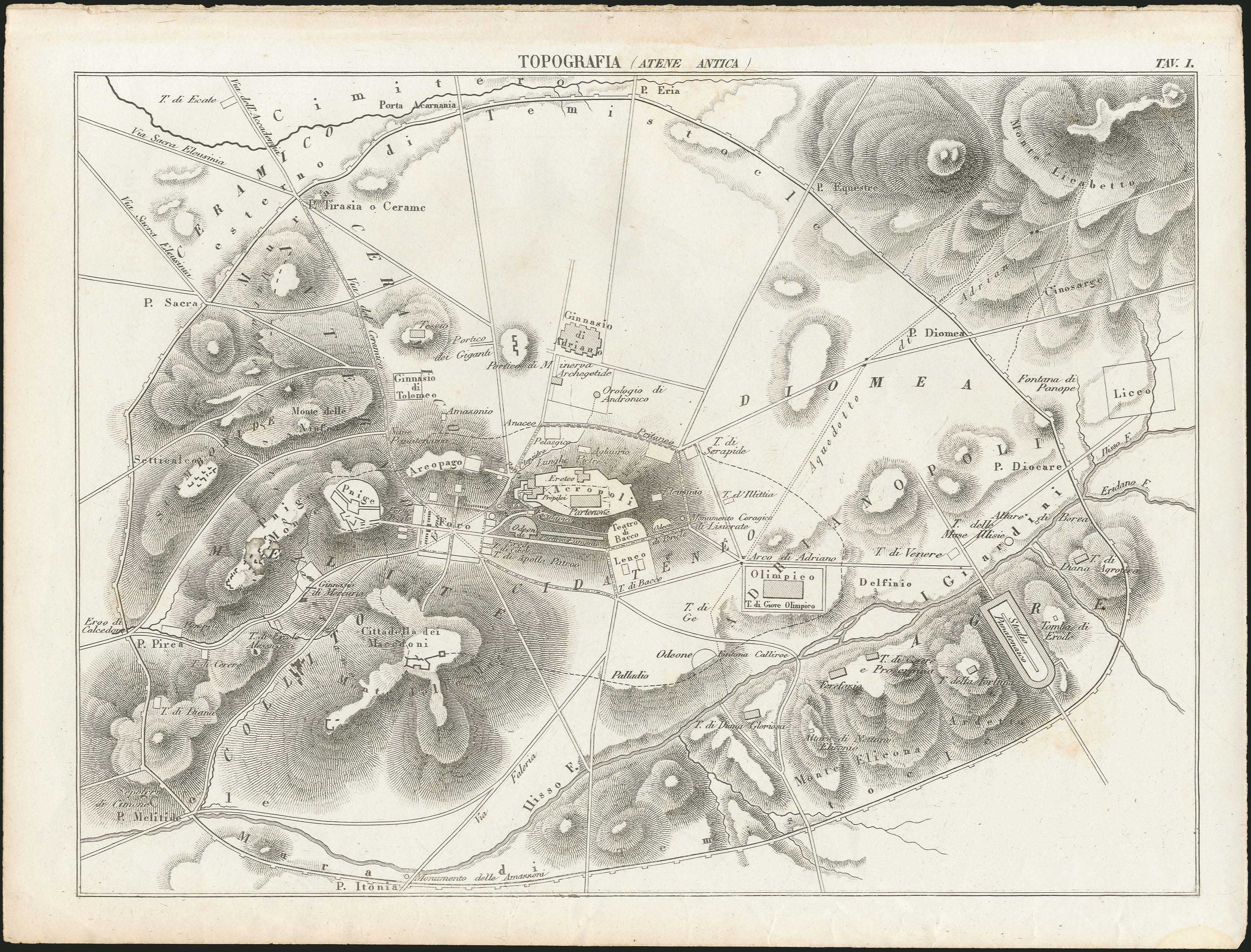 Lot 04099