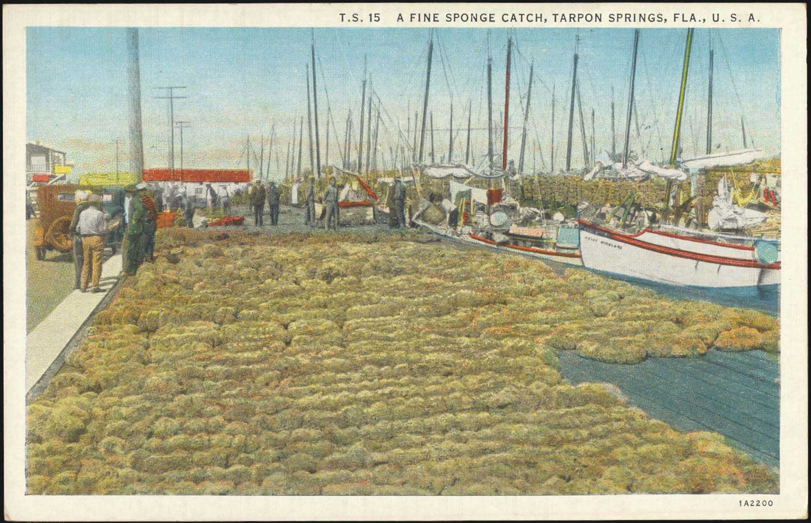 Lot 02502