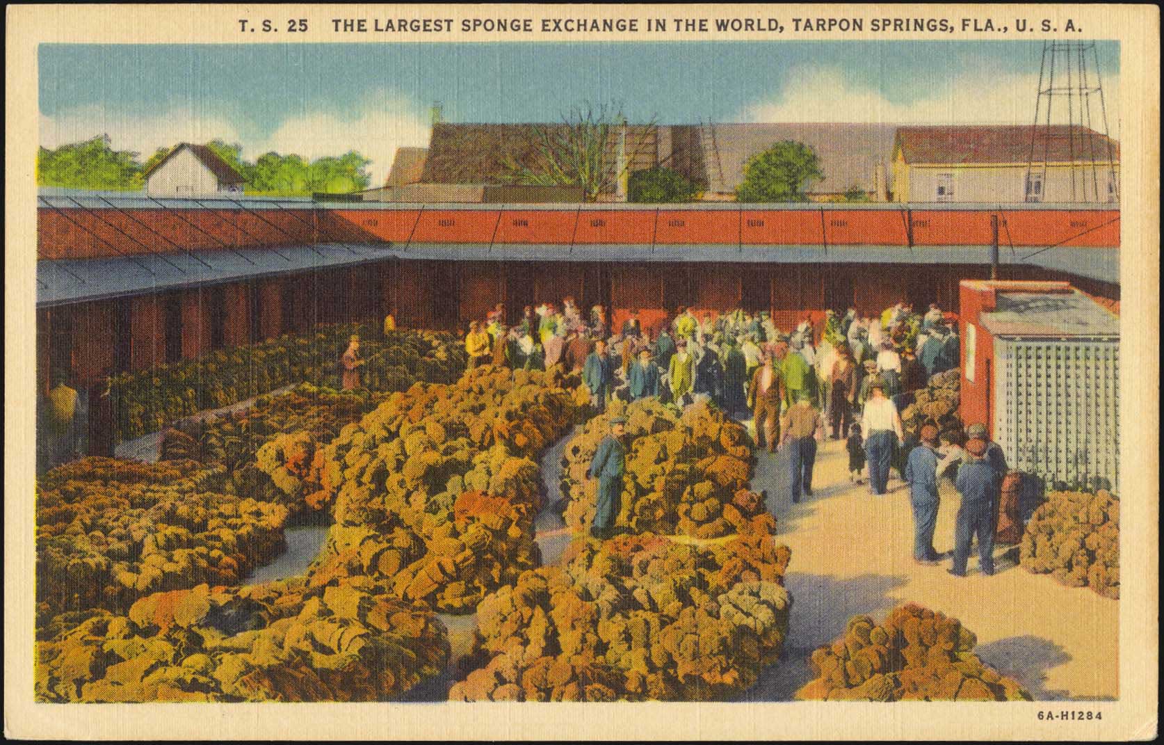 Lot 02500