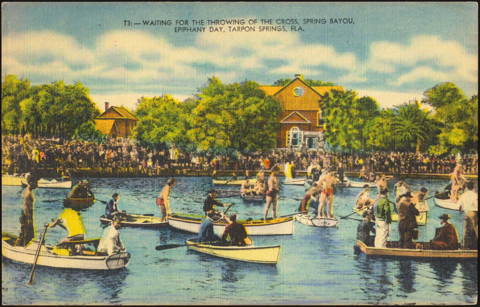 Lot 02504