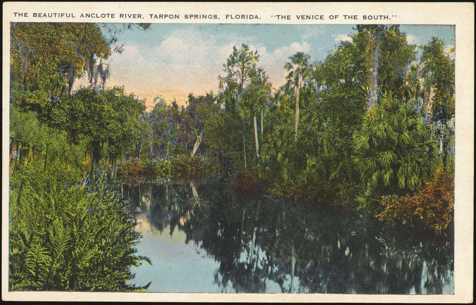 Lot 02483