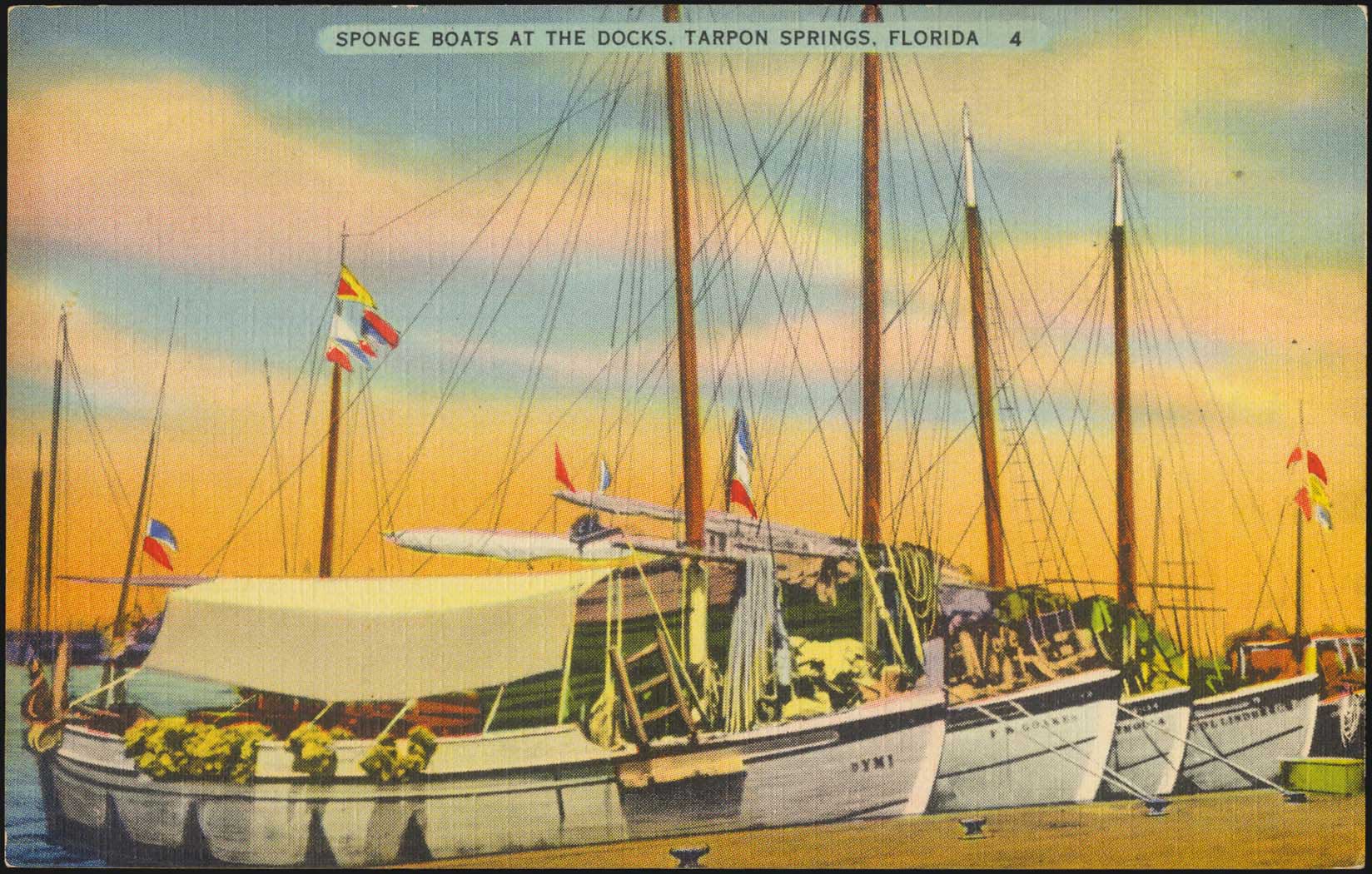 Lot 02507