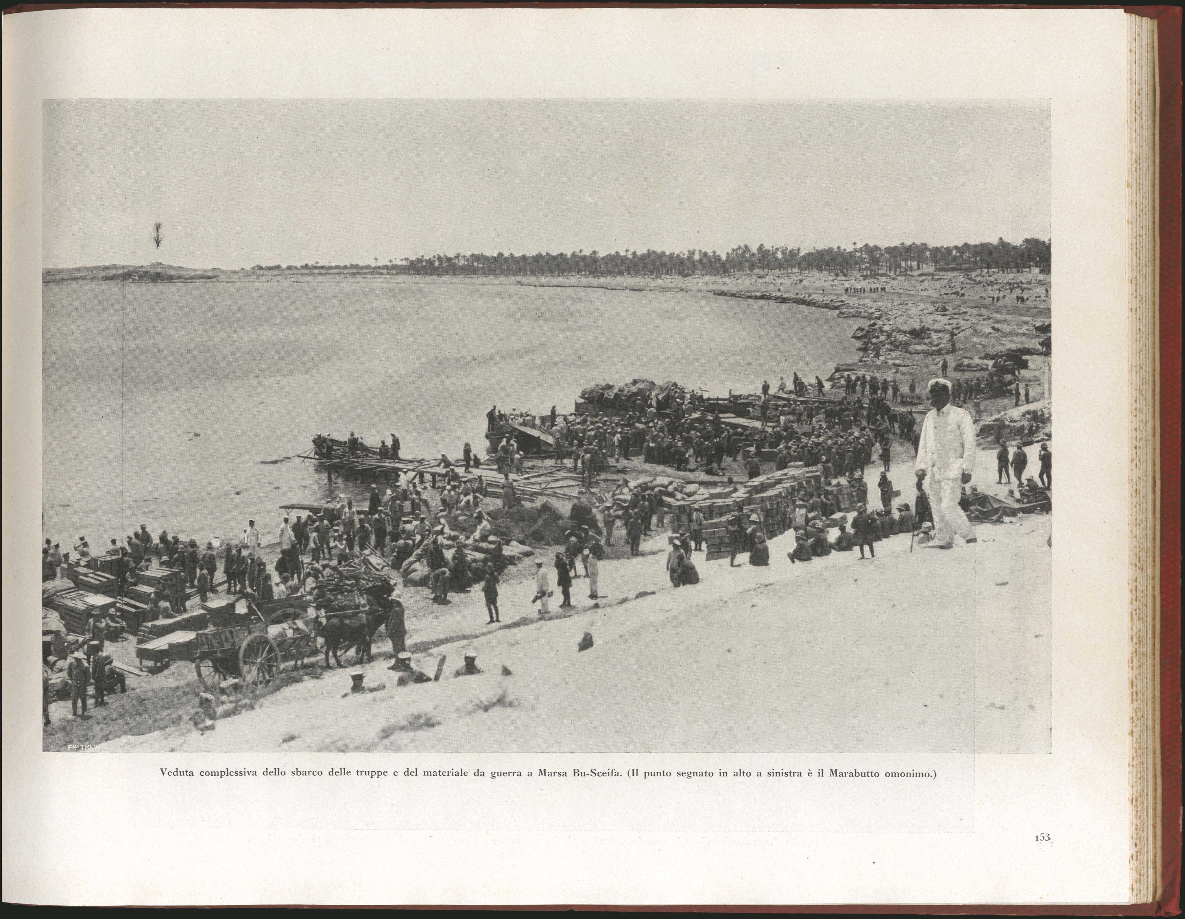 Lot 05633