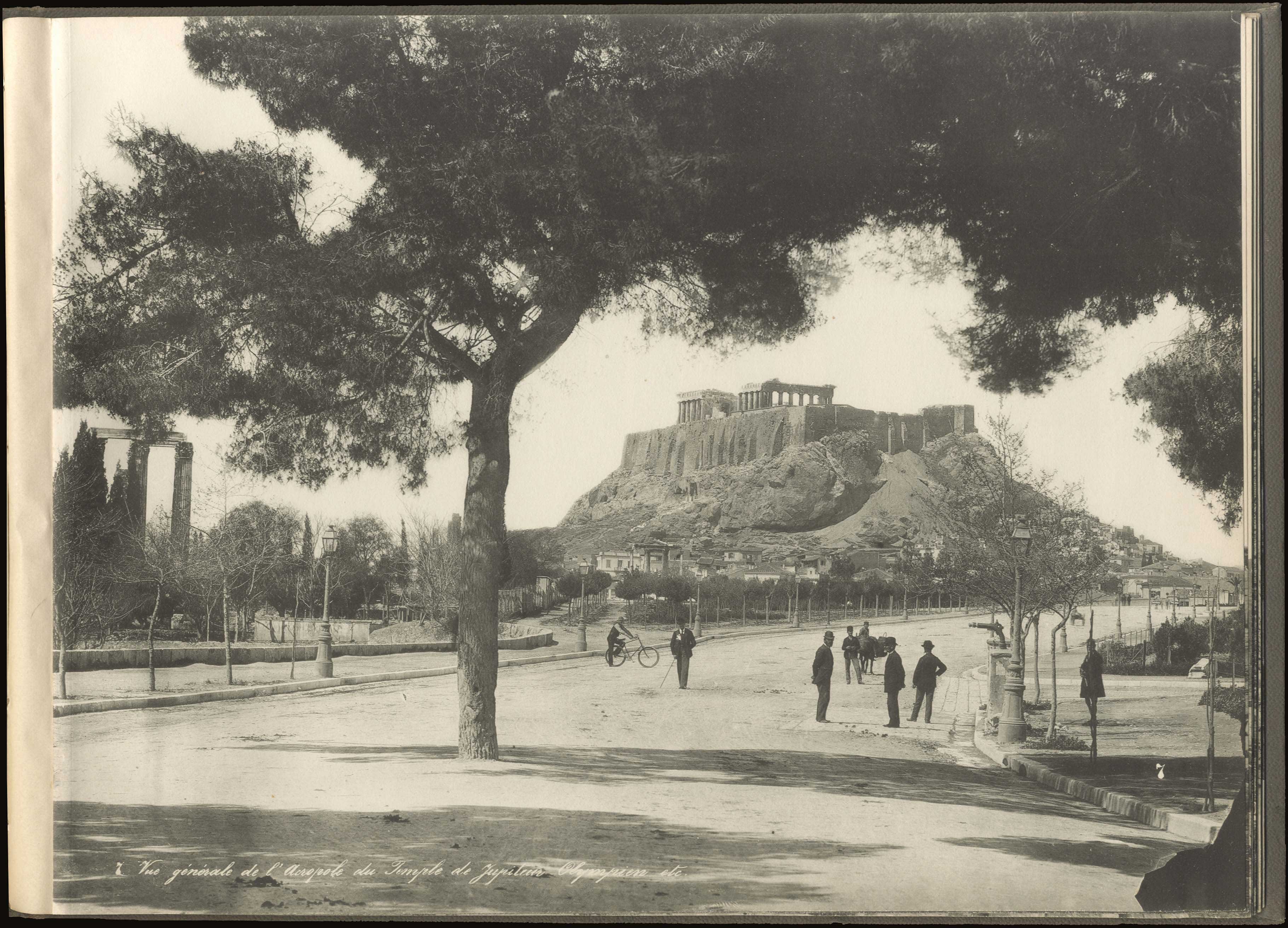 Lot 05425