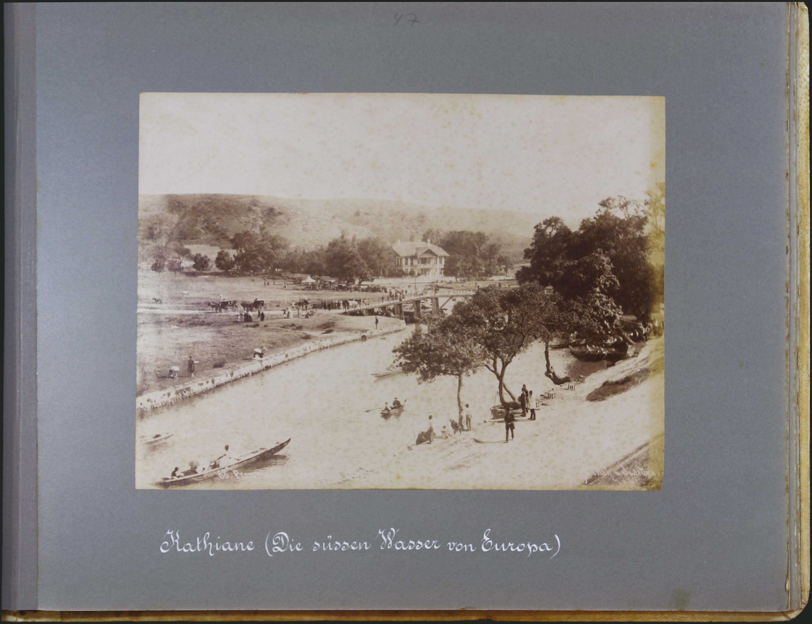 Lot 05426