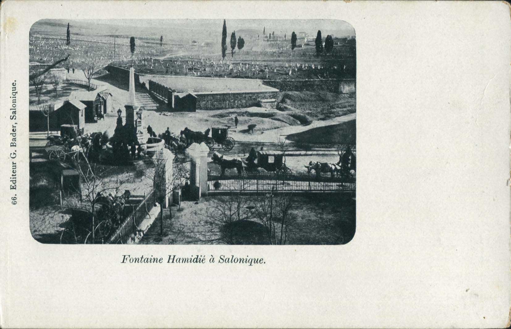 Lot 01595