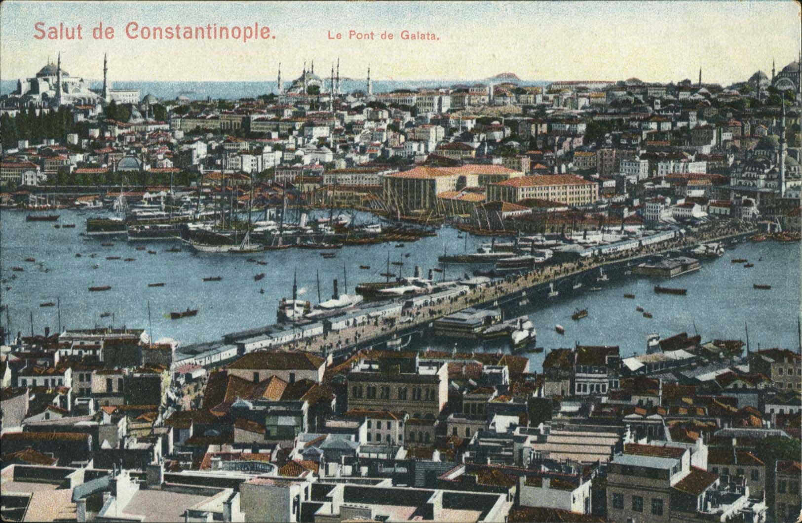 Lot 01559