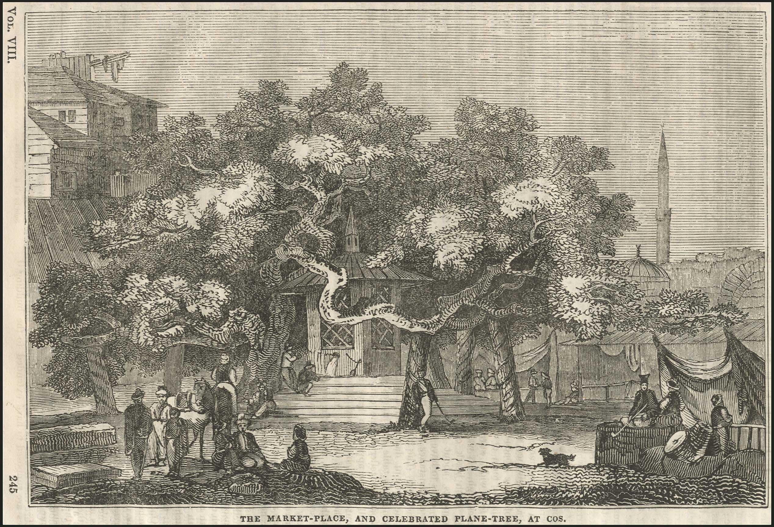 Lot 04201