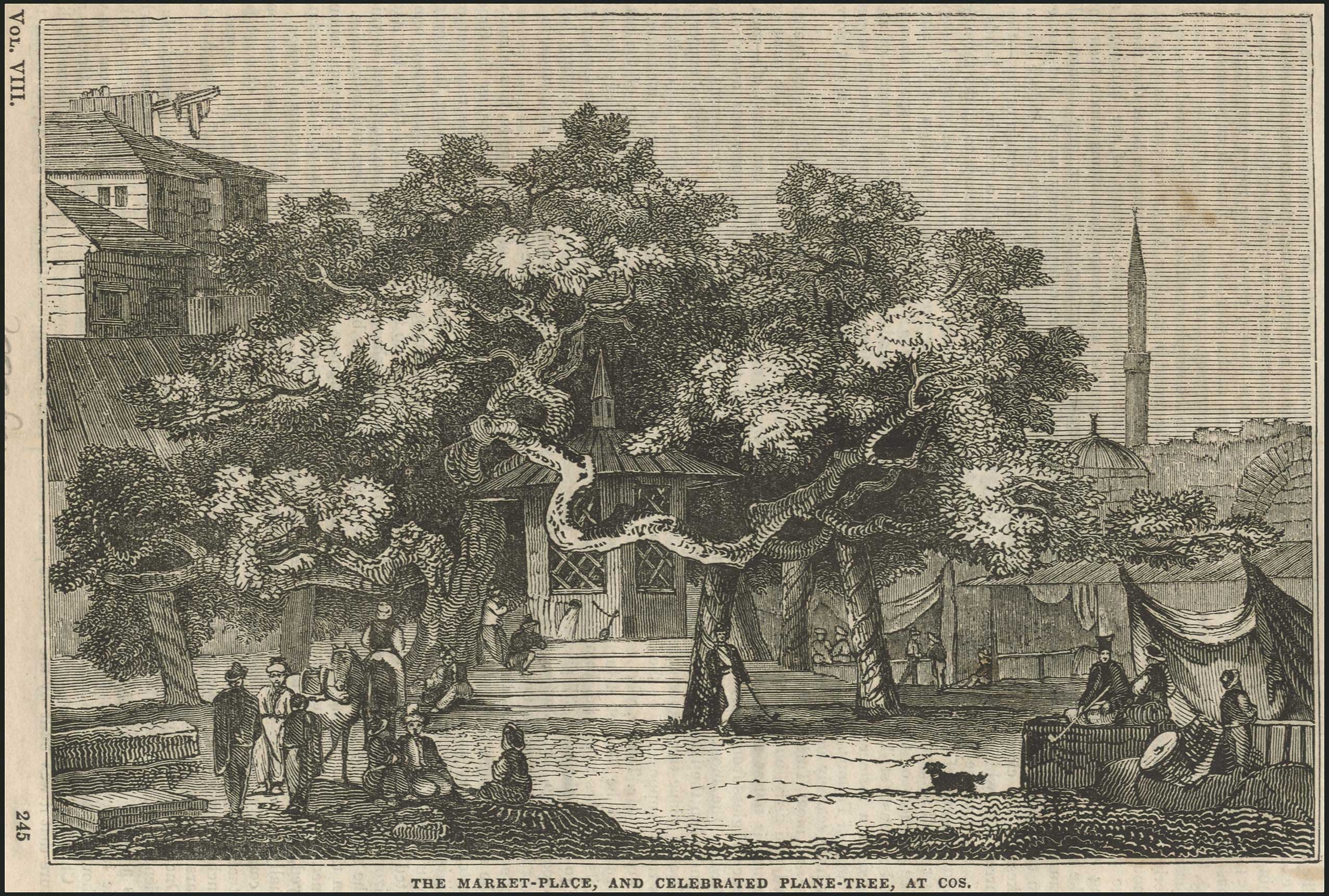 Lot 03375