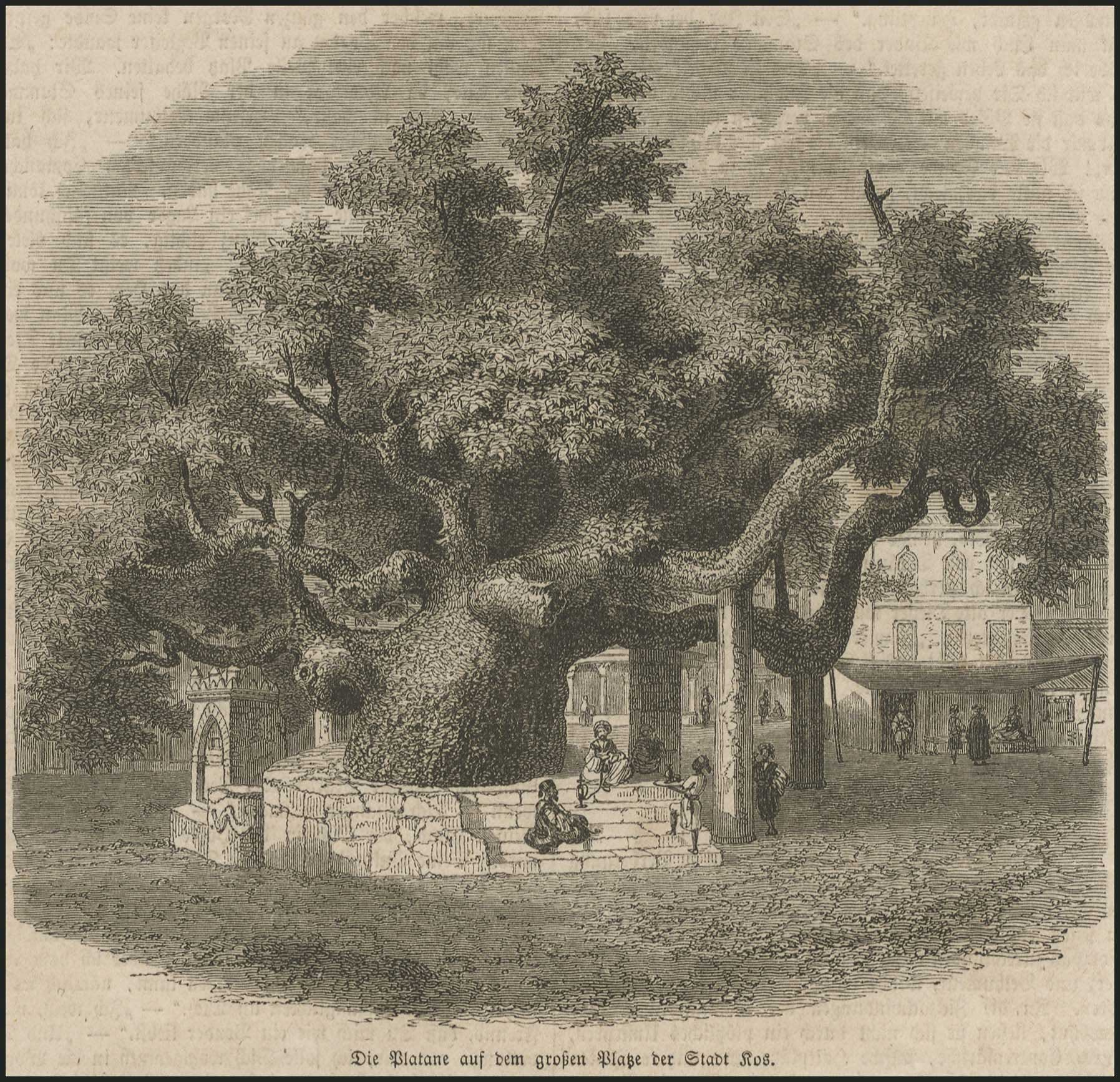 Lot 04207