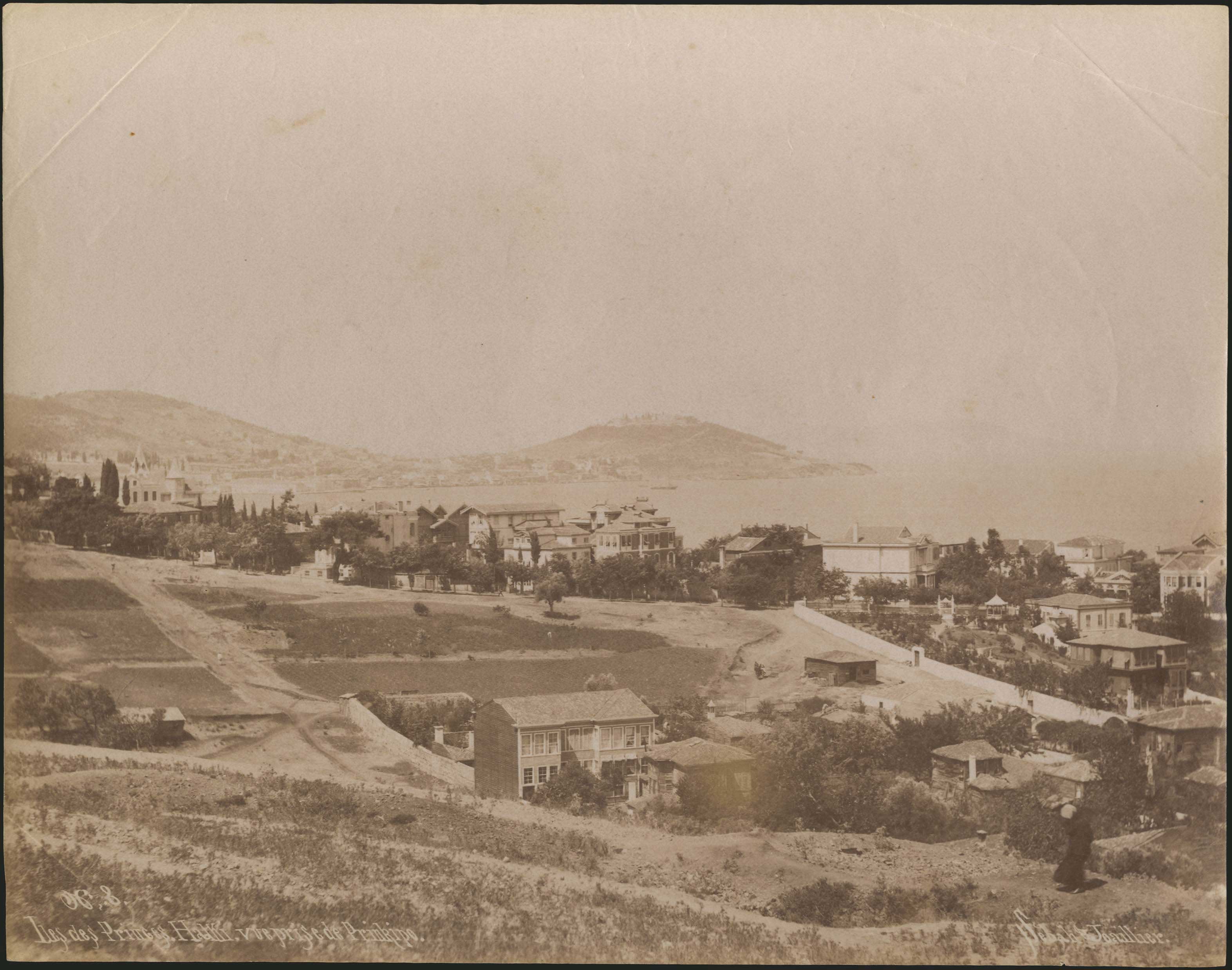 Lot 09481