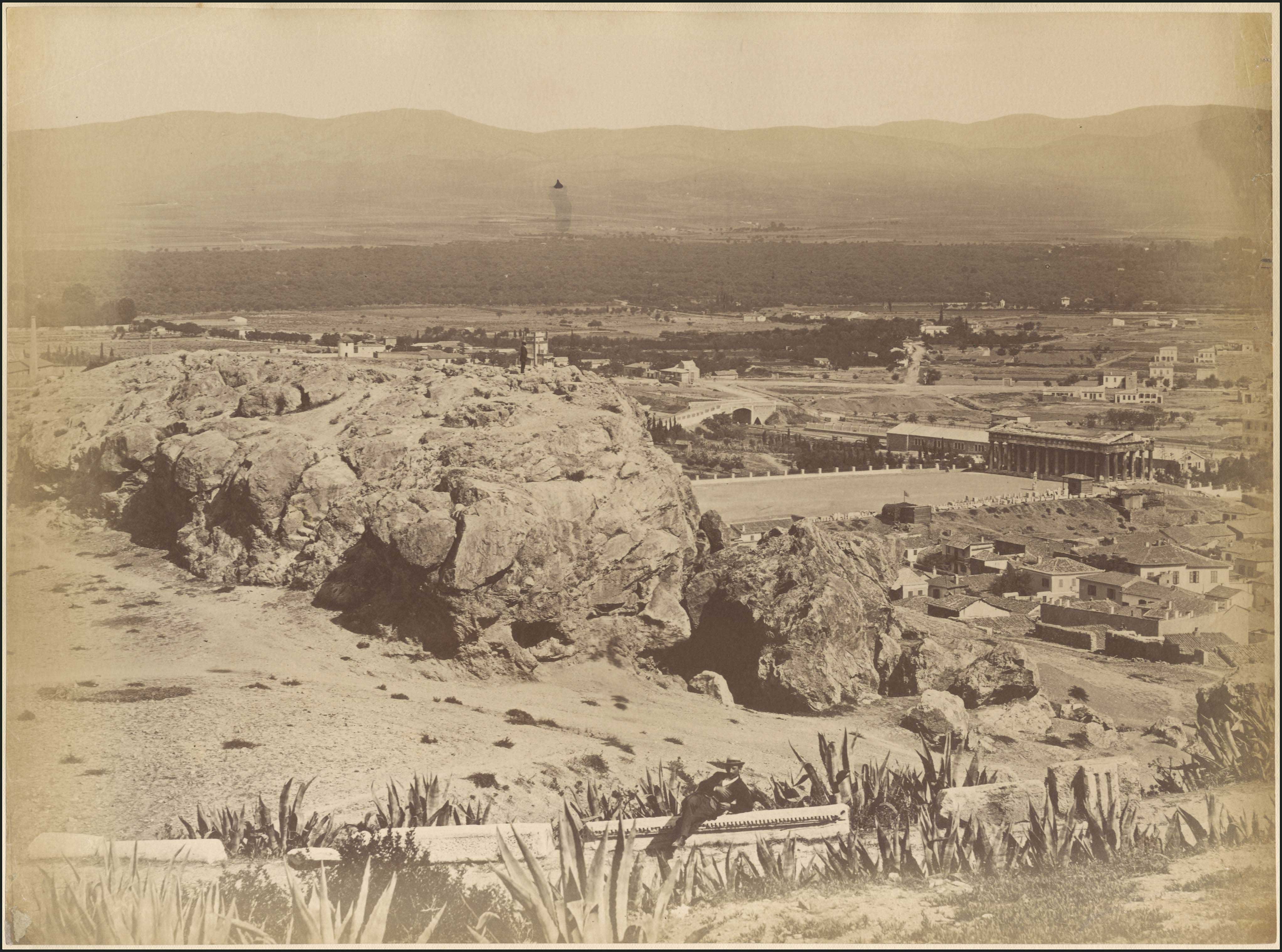 Lot 04353