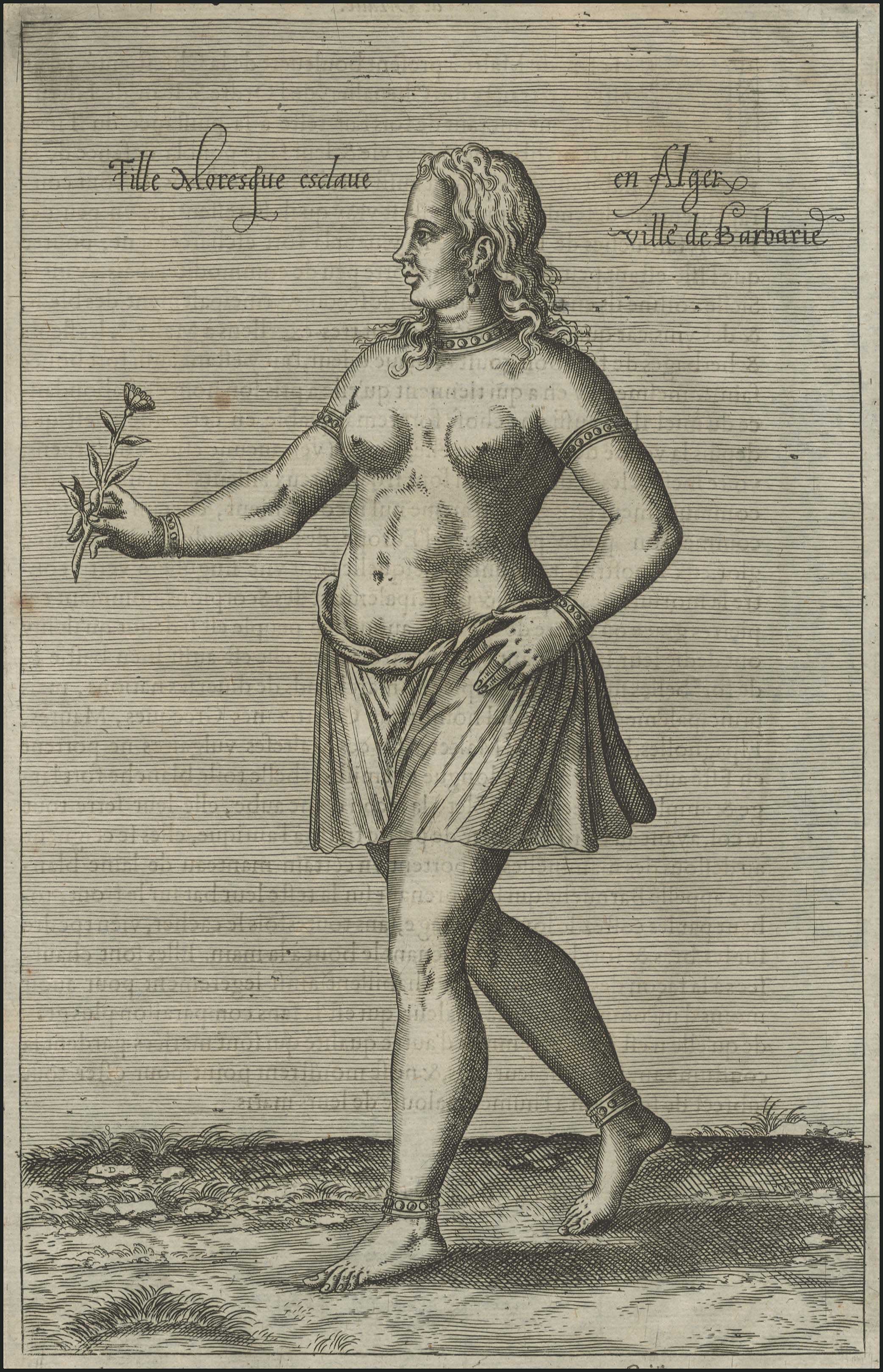 Lot 04171