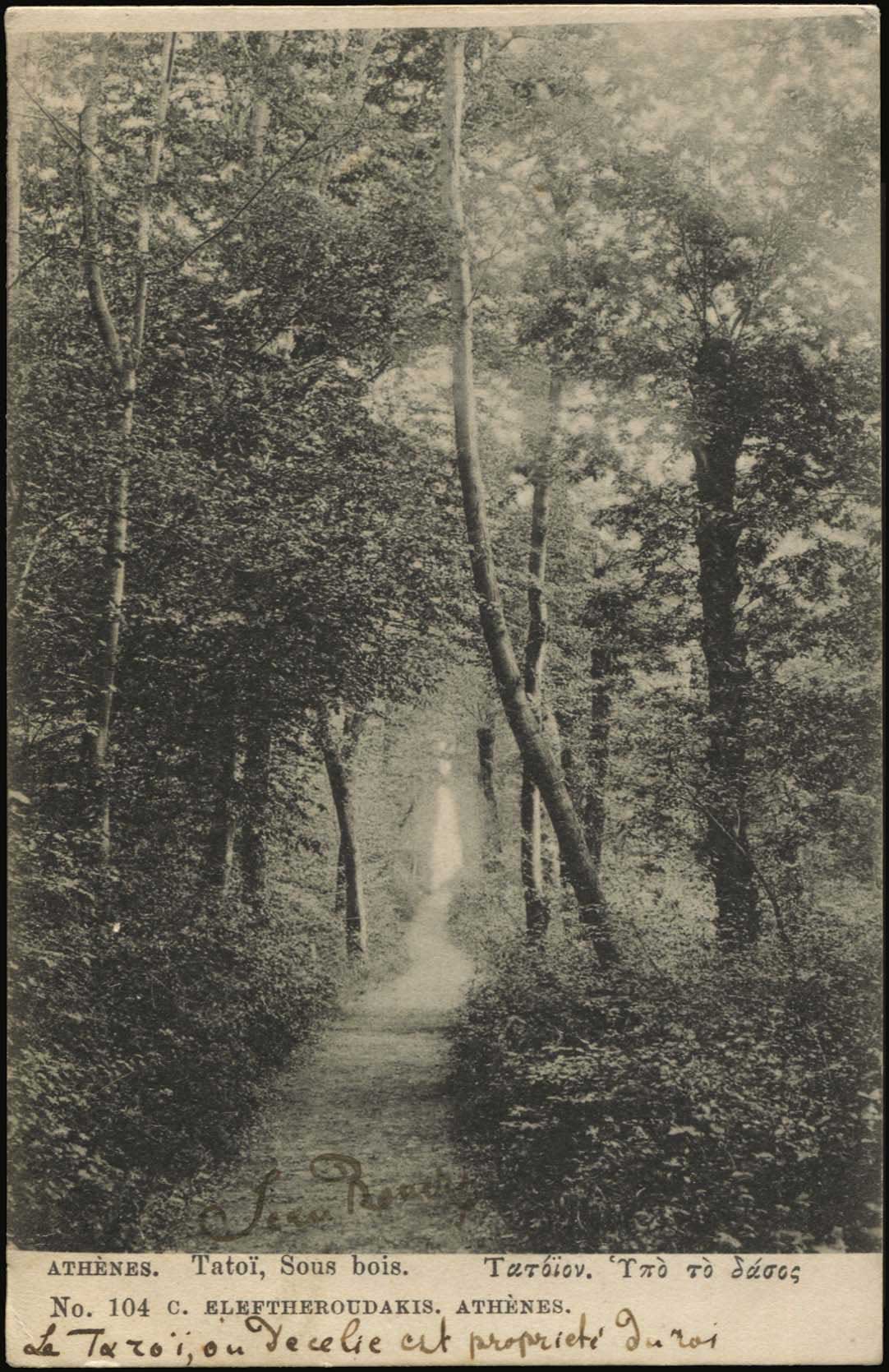 Lot 01515