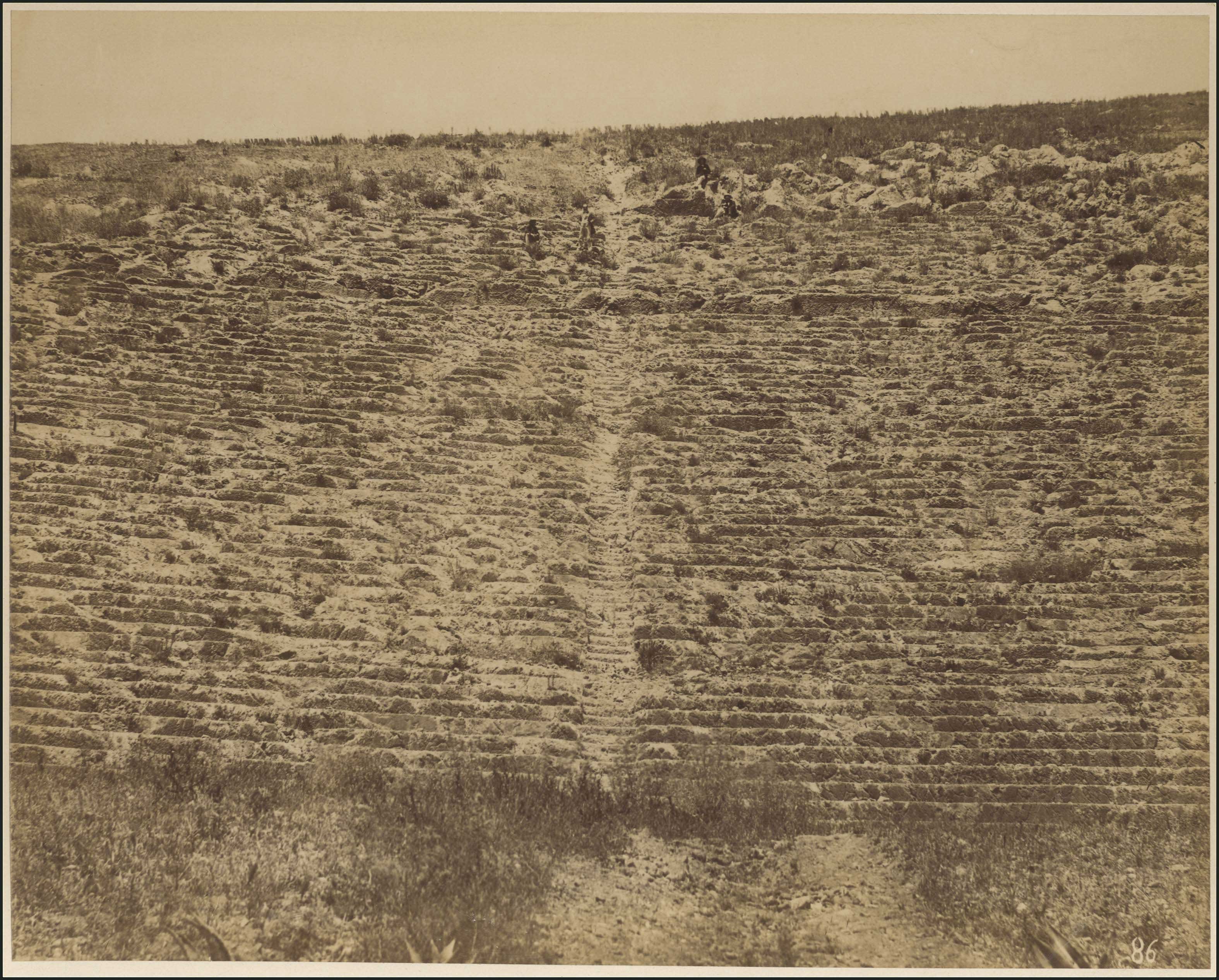 Lot 04351
