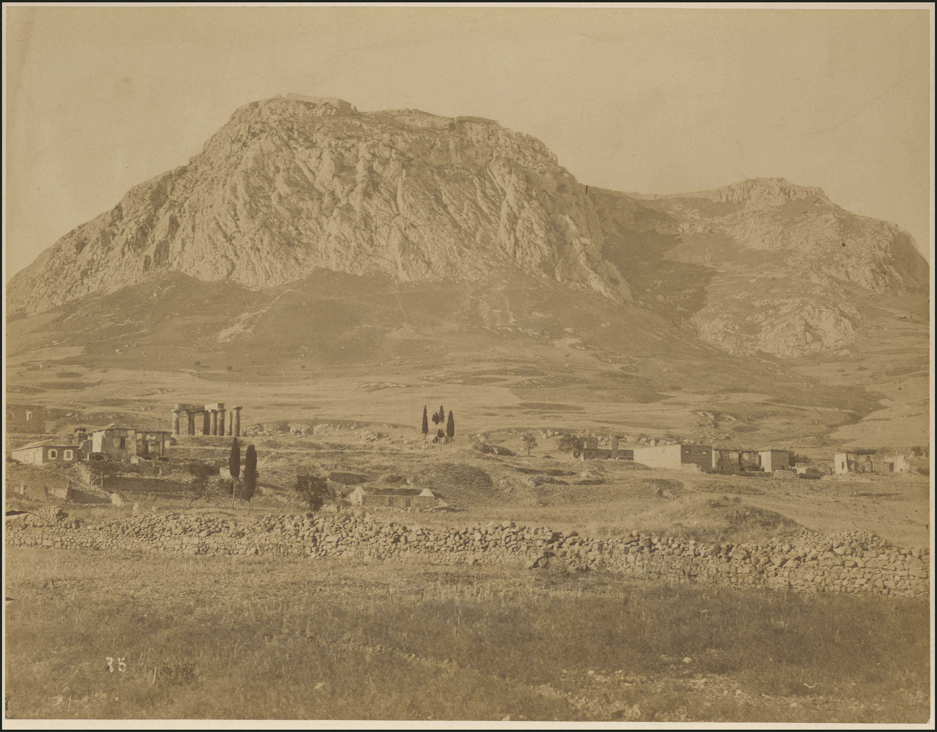 Lot 04351
