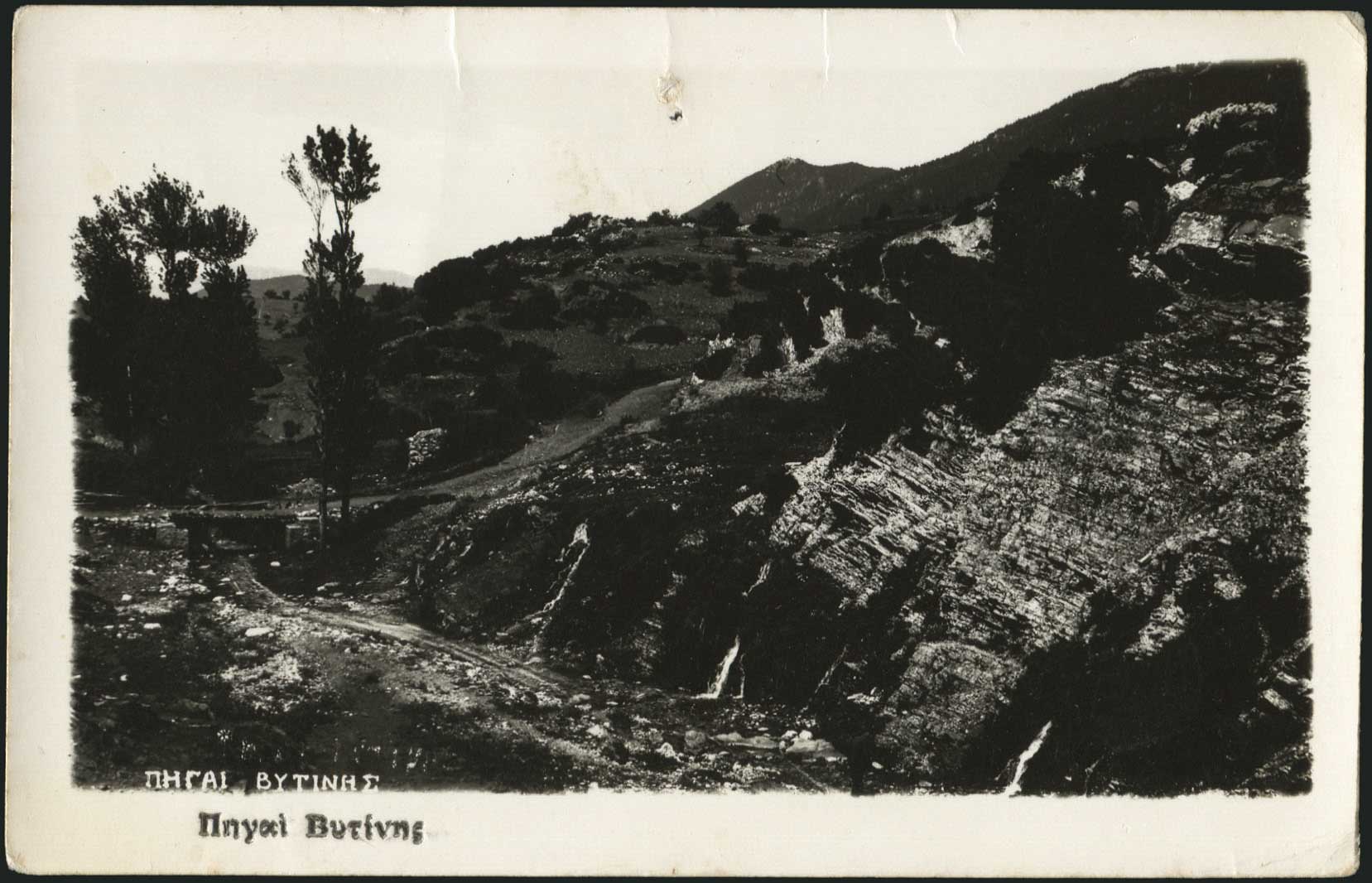 Lot 01444