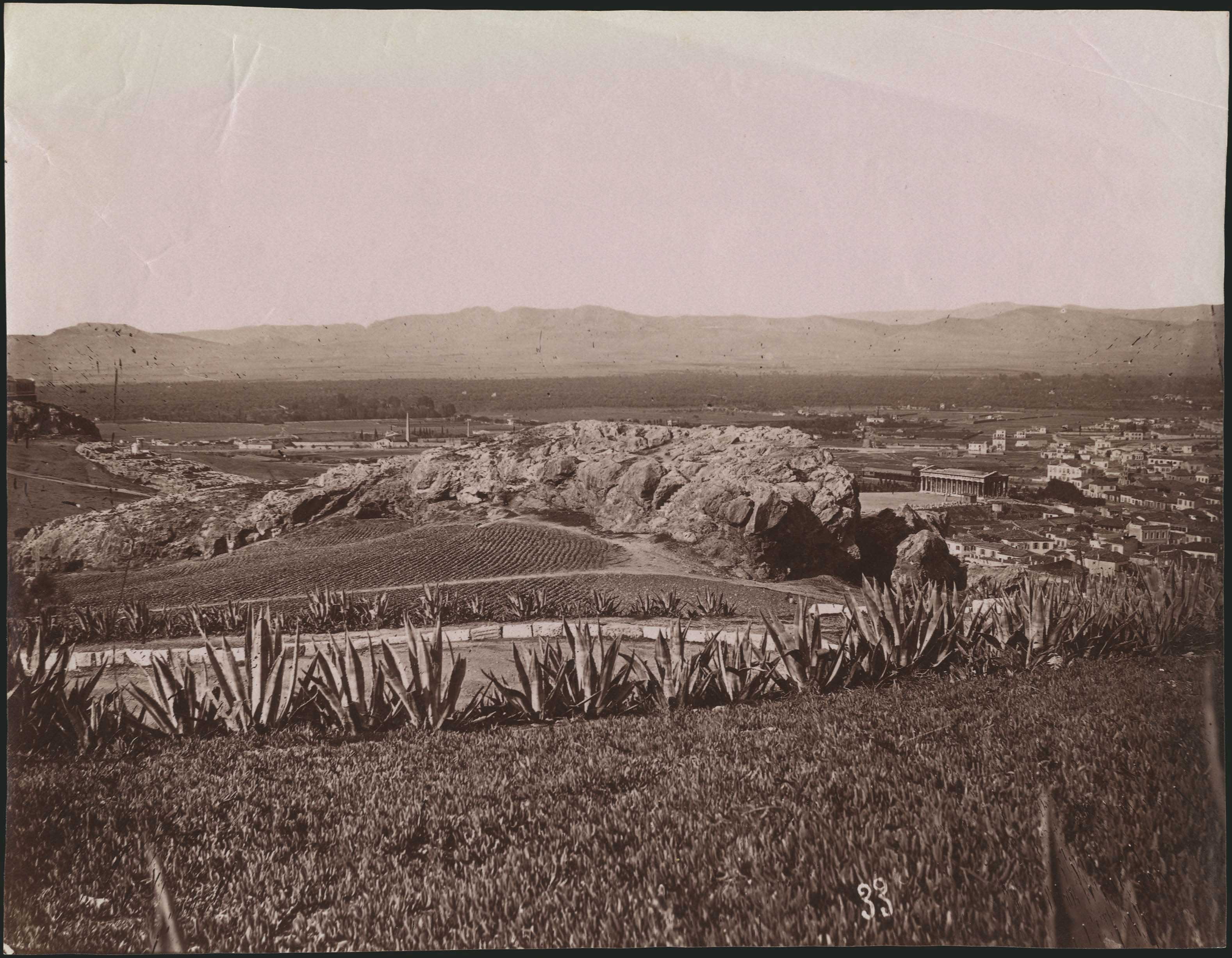 Lot 04355