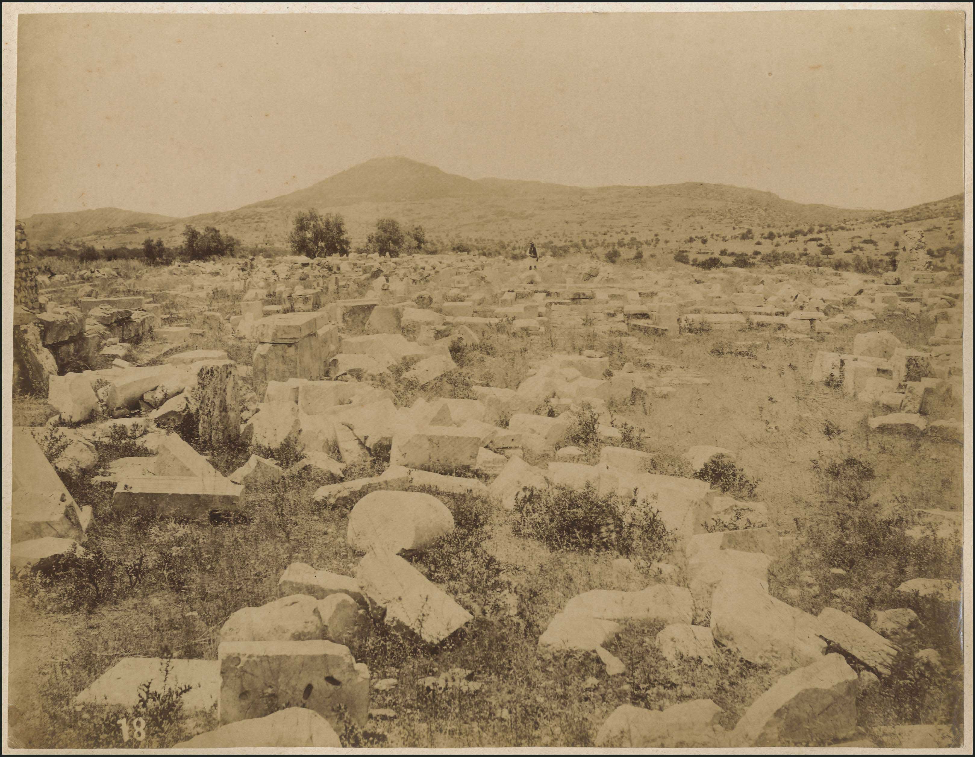 Lot 04355